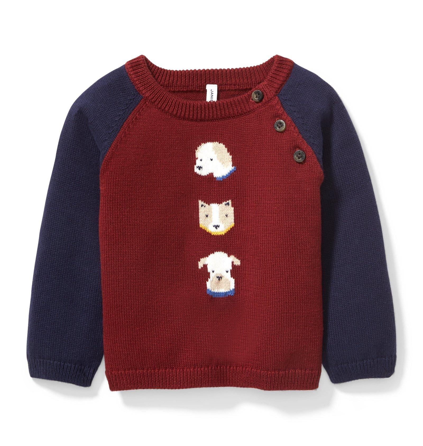 Raglan Dog Sweater  image number 0