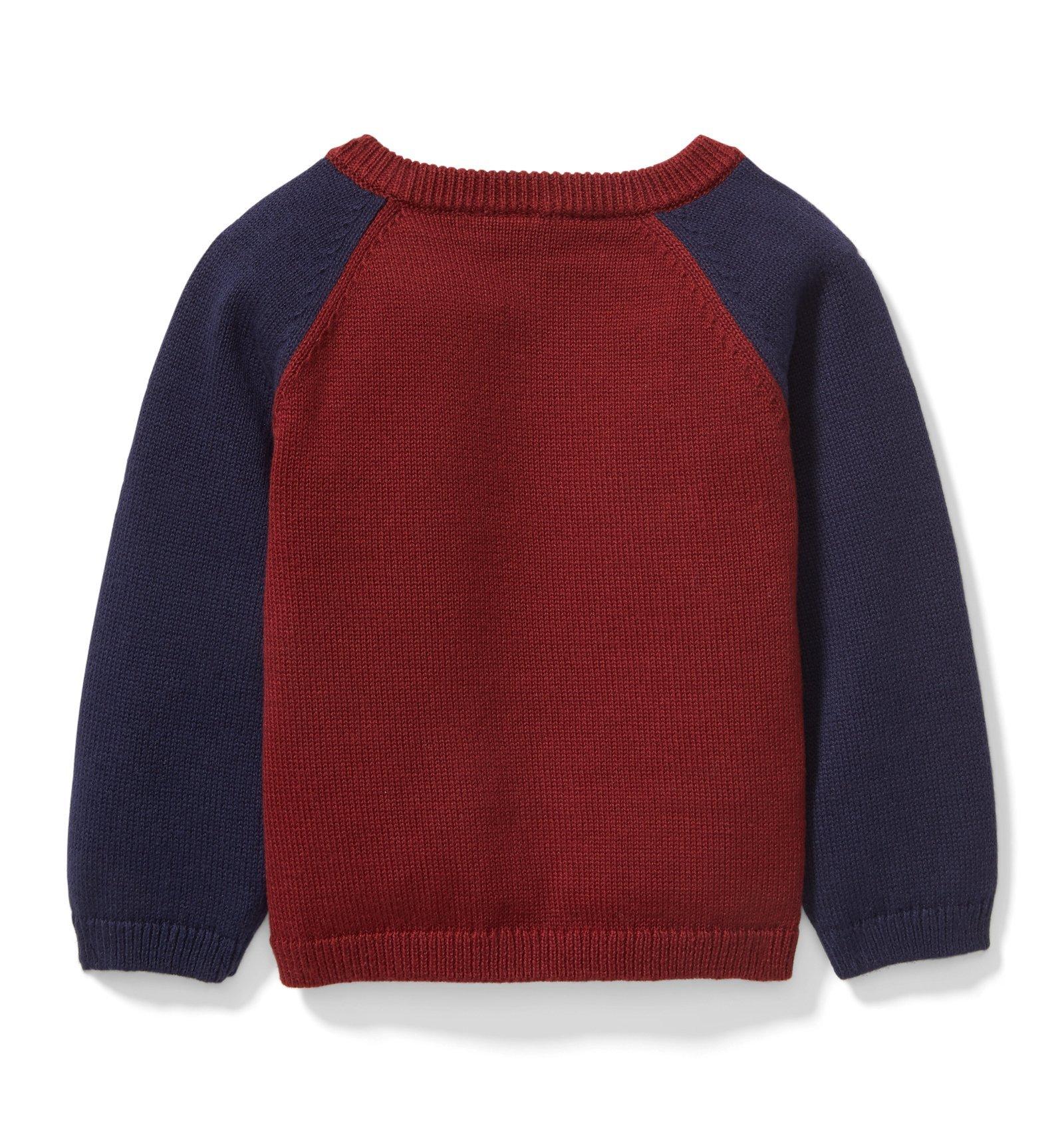 Raglan Dog Sweater  image number 1