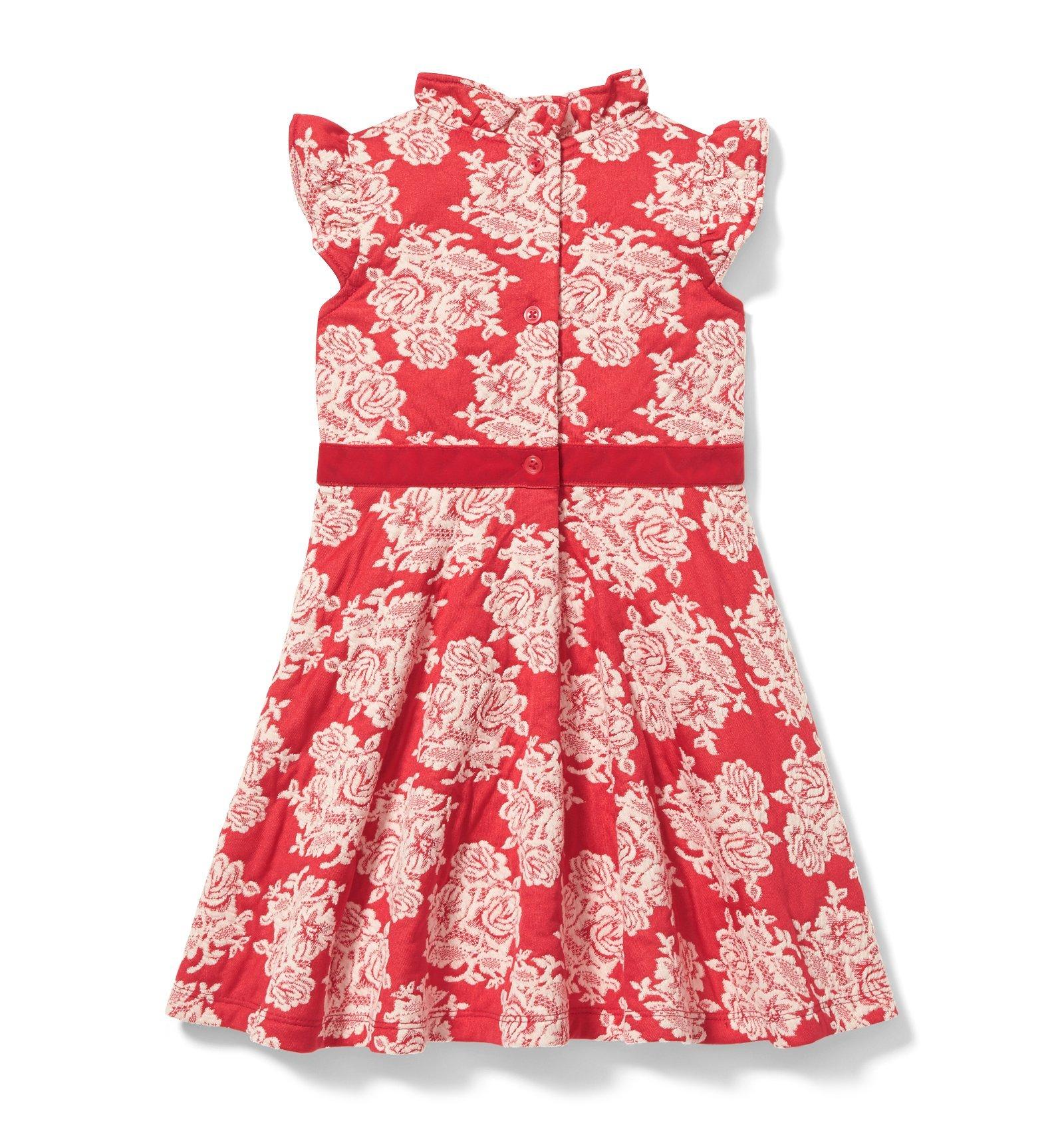 Floral Jacquard Dress image number 1