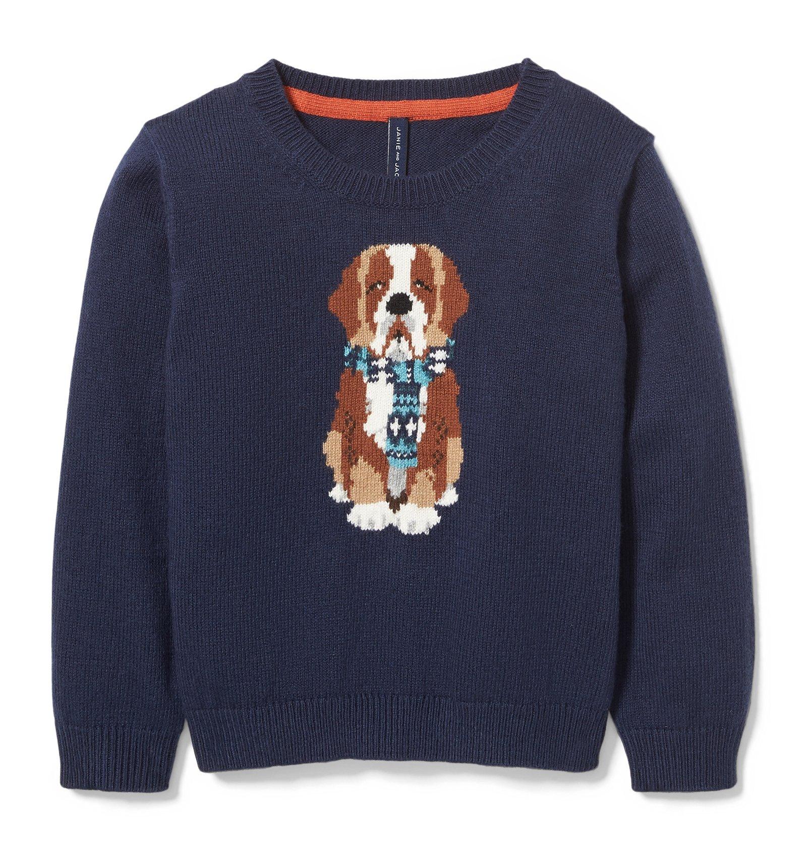 Saint Bernard Dog Pullover 