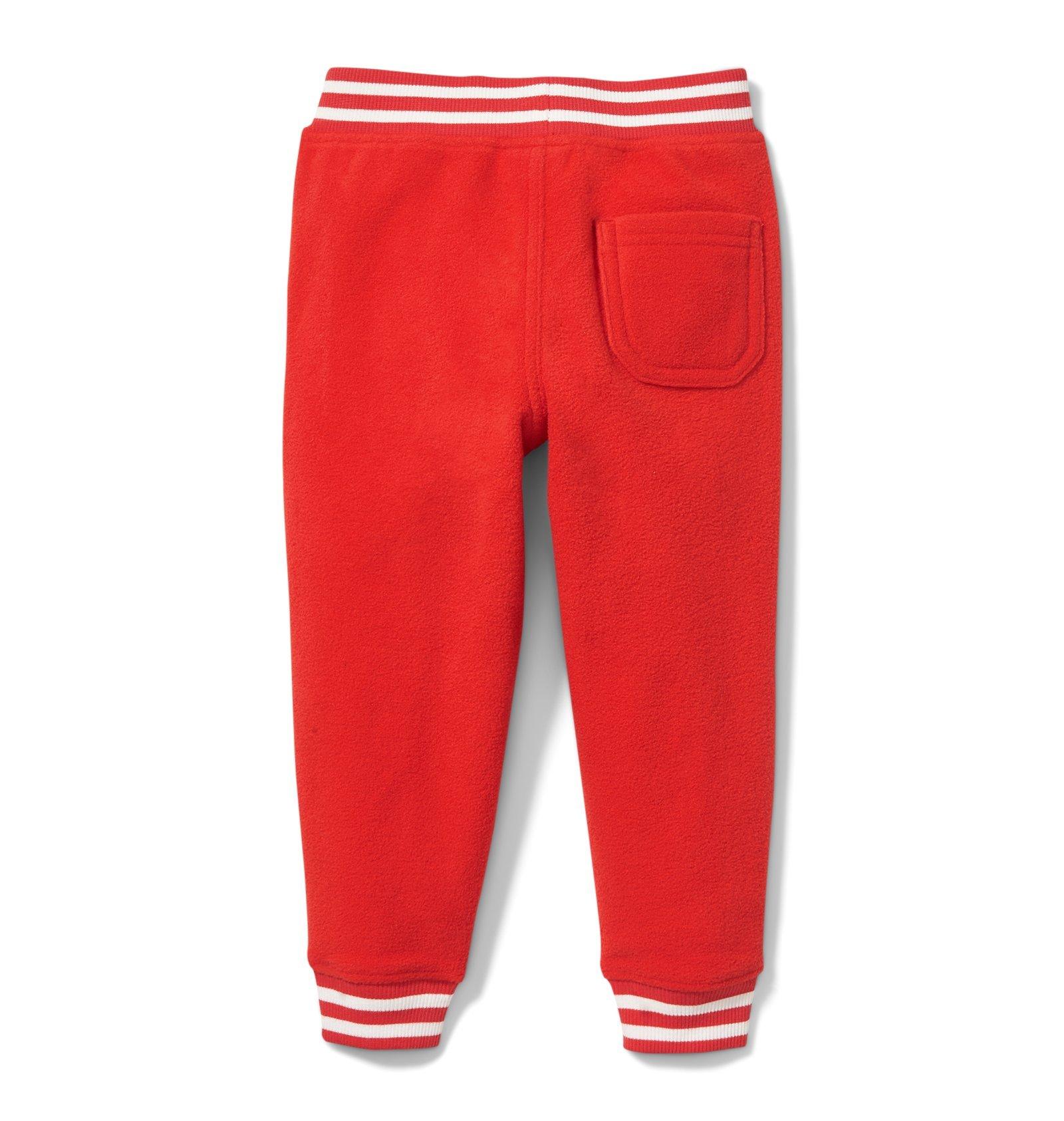 Fleece Striped Jogger  image number 1