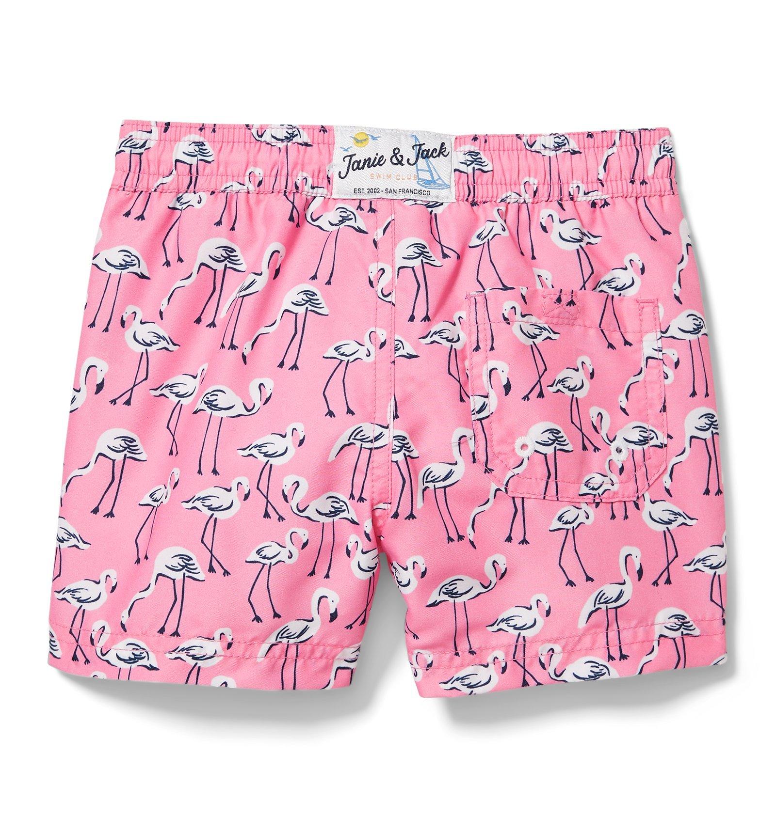 Flamingo Swim Trunk image number 1