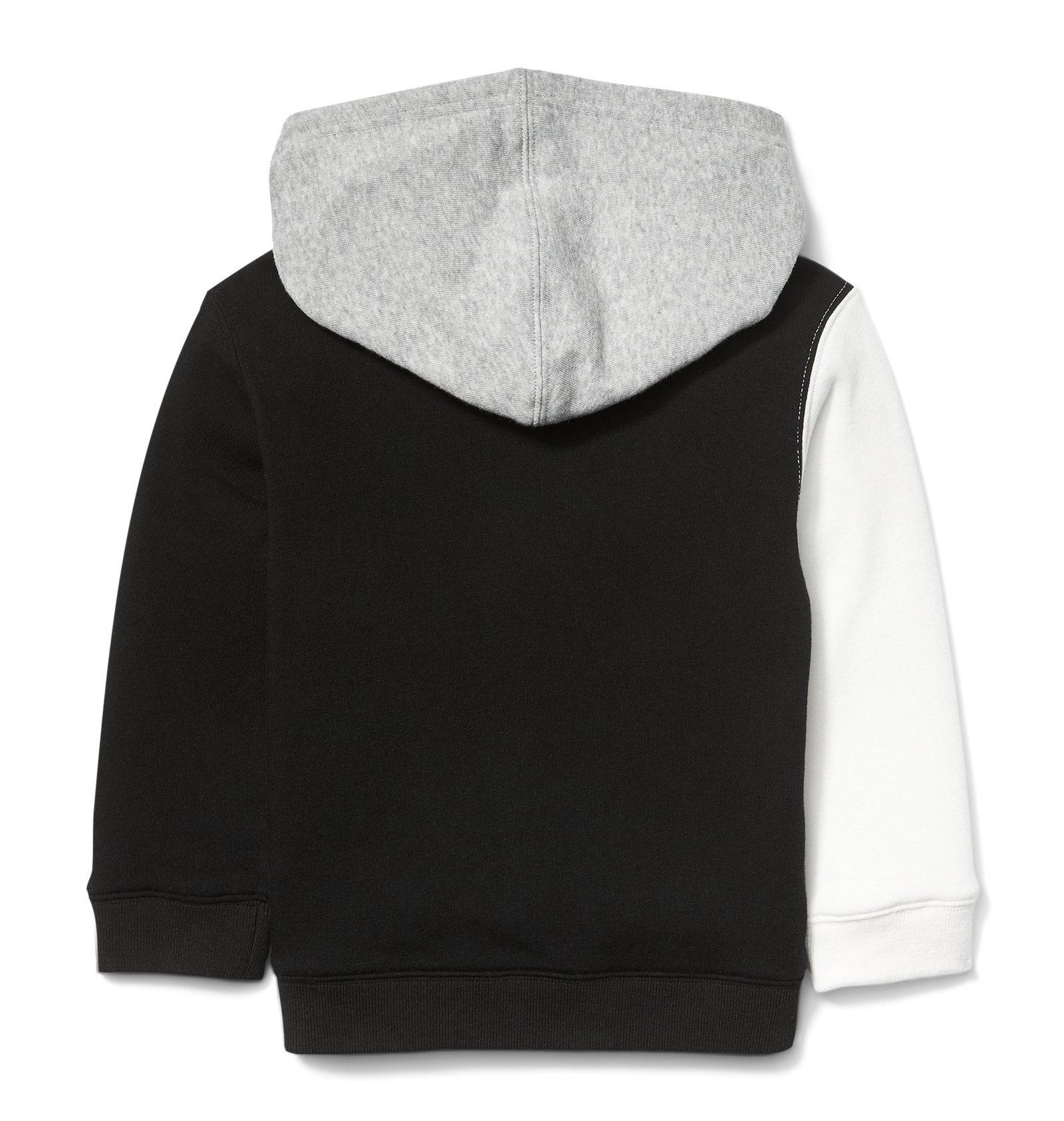 Colorblock Hooded Sweatshirt  image number 1