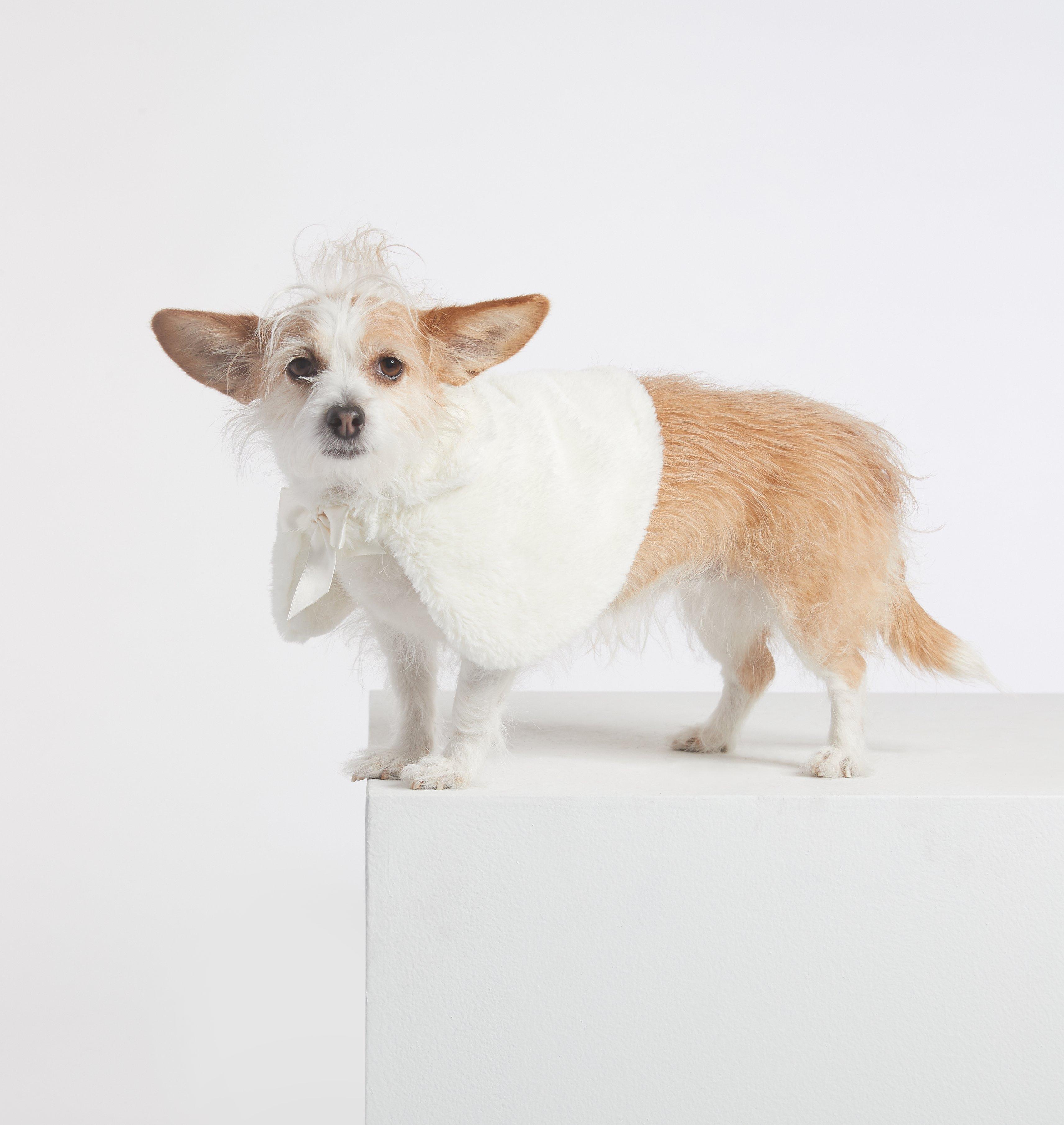 Dog Faux Fur Cape image number 0