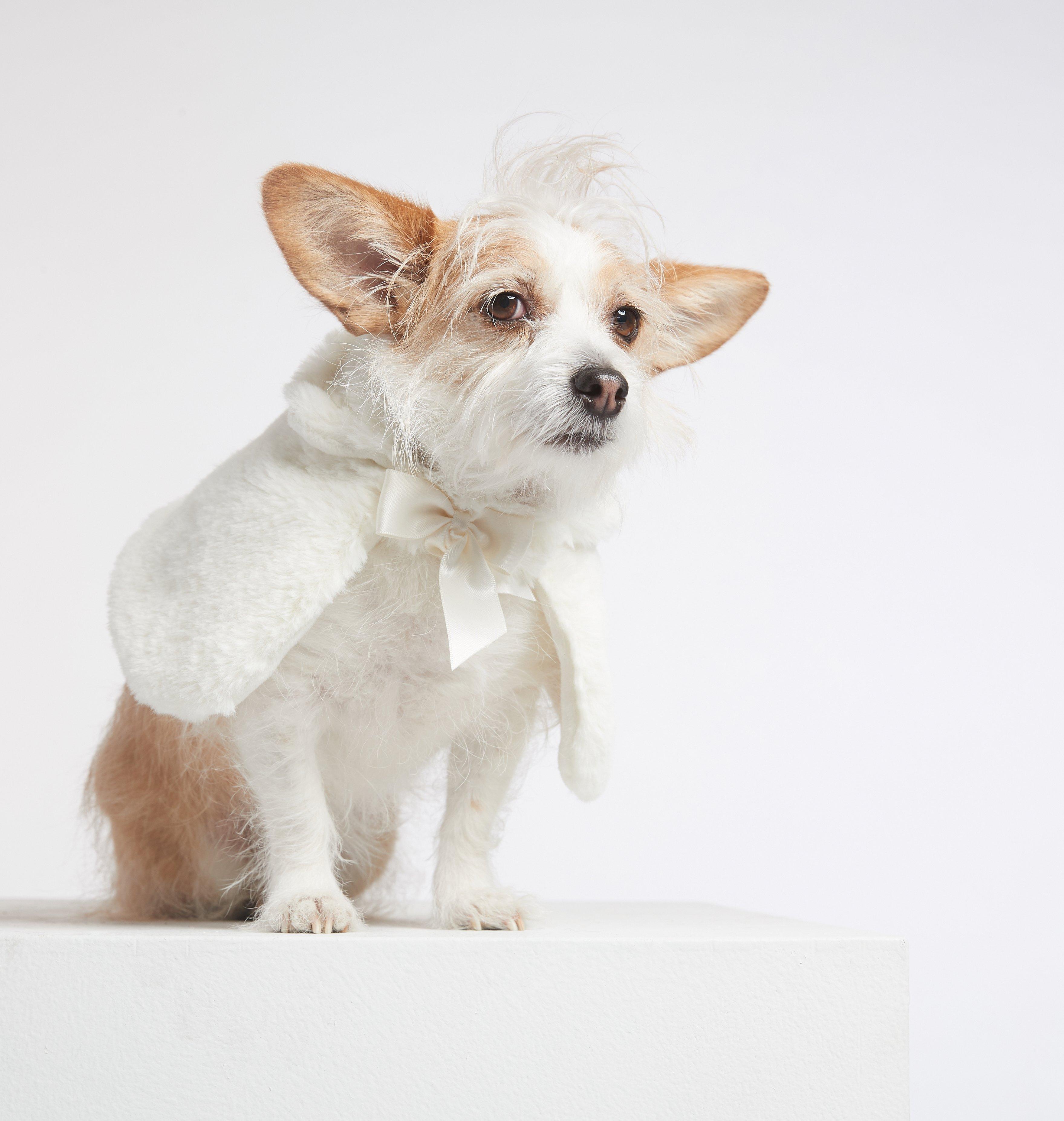 Dog Faux Fur Cape image number 2