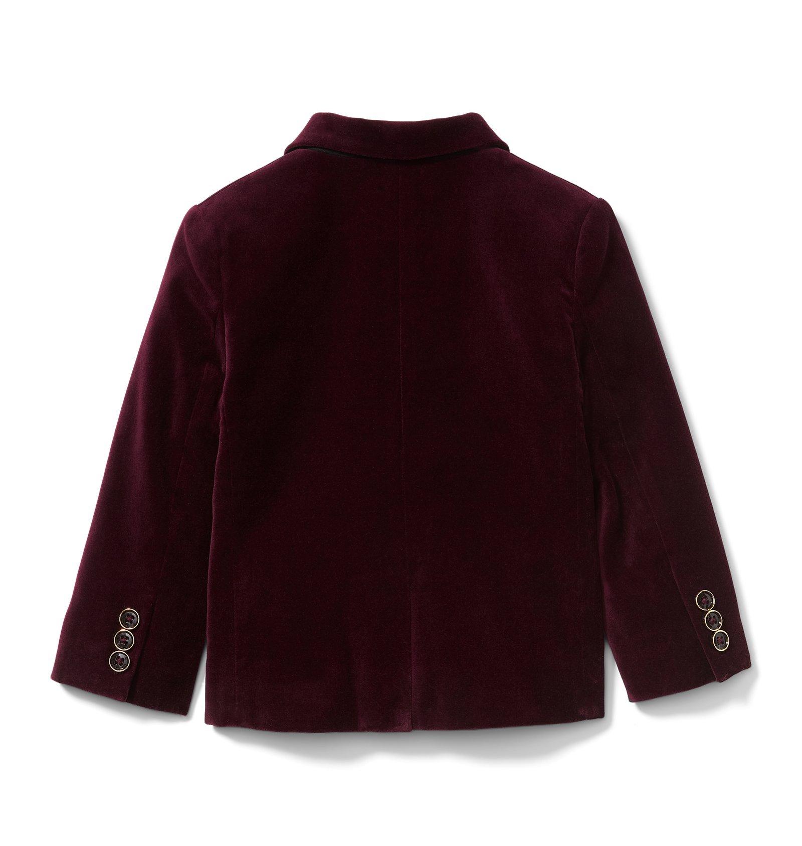 Rachel Zoe Velveteen Suit Jacket  image number 1