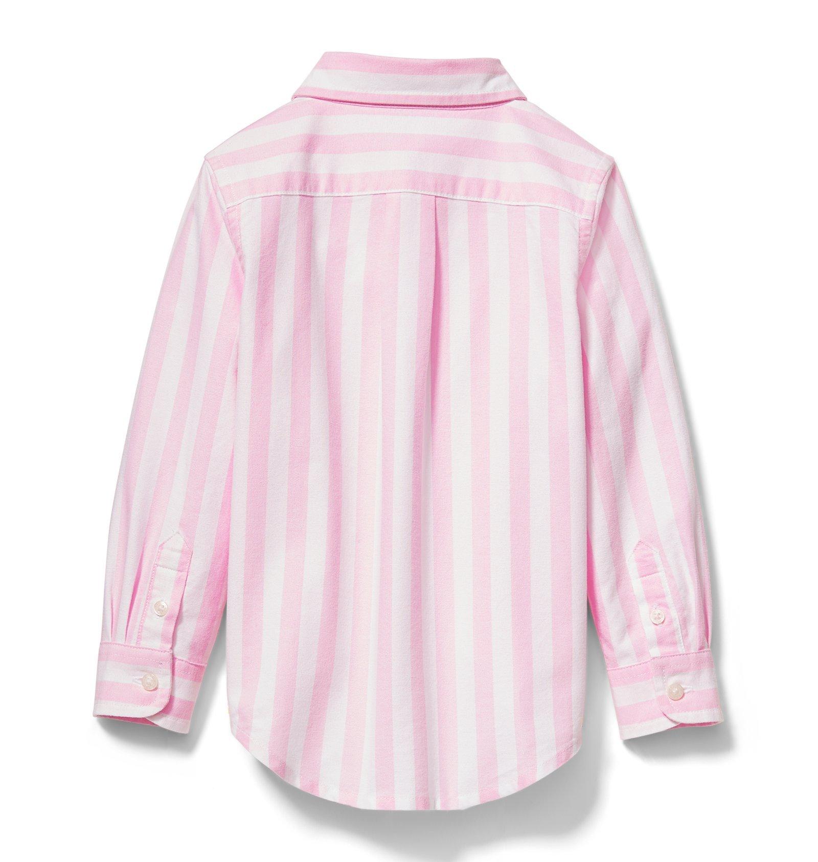 Striped Oxford Shirt image number 1