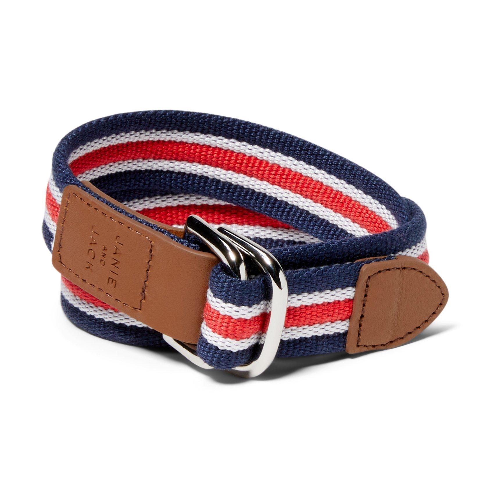 Striped Belt image number 0