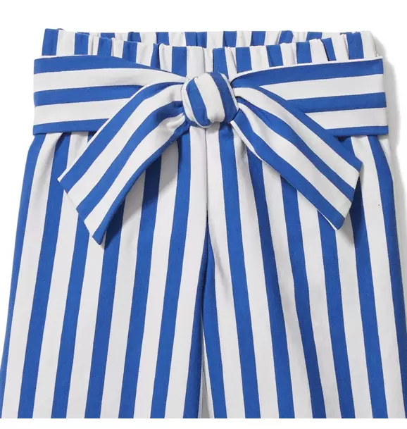 Striped Wide Leg Pant image number 1