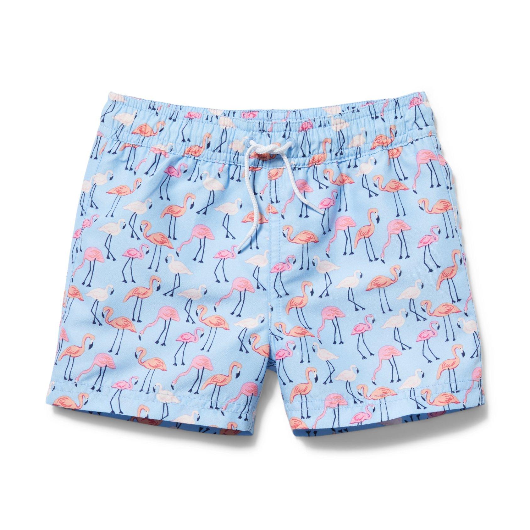 Flamingo Swim Trunk image number 0