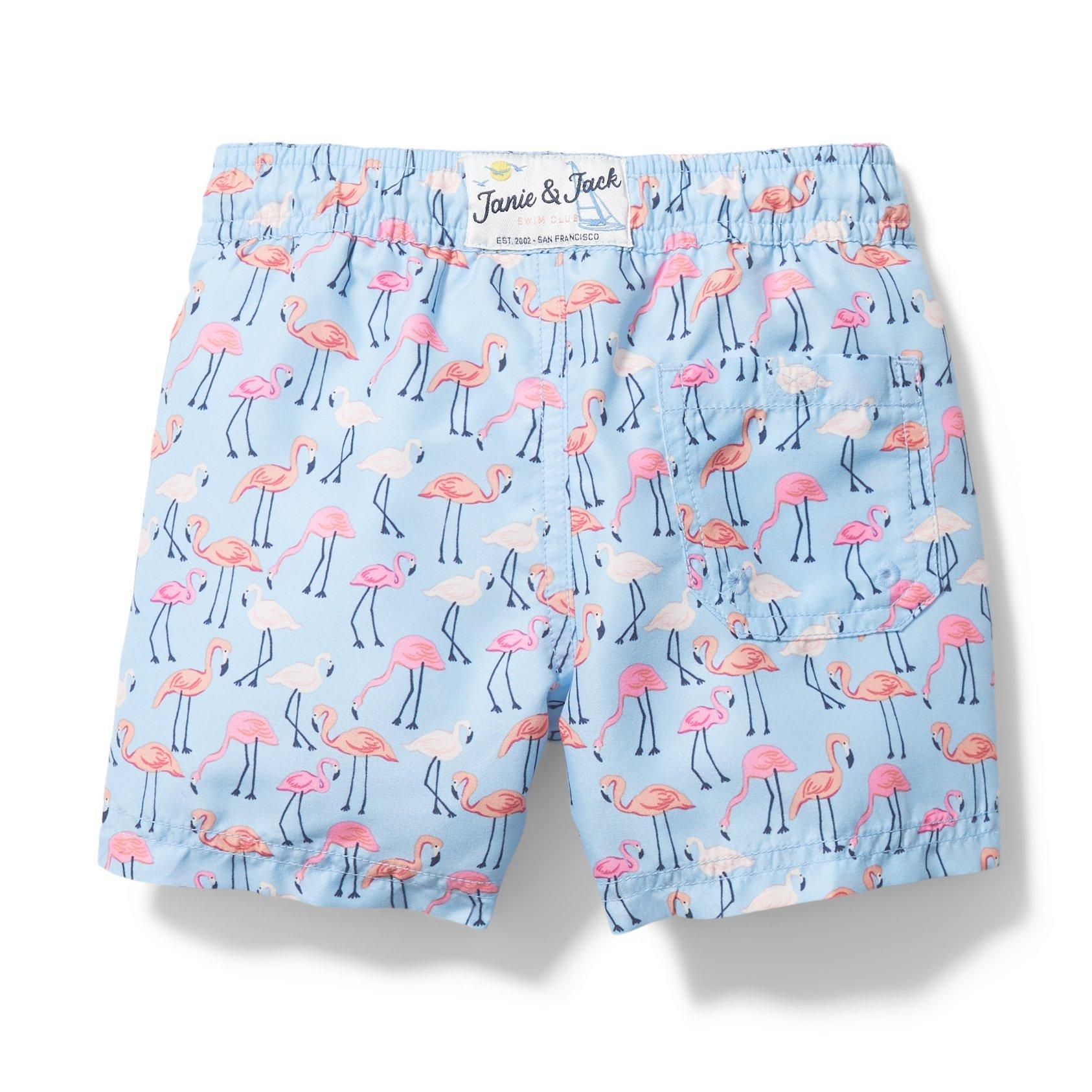 Flamingo Swim Trunk image number 1