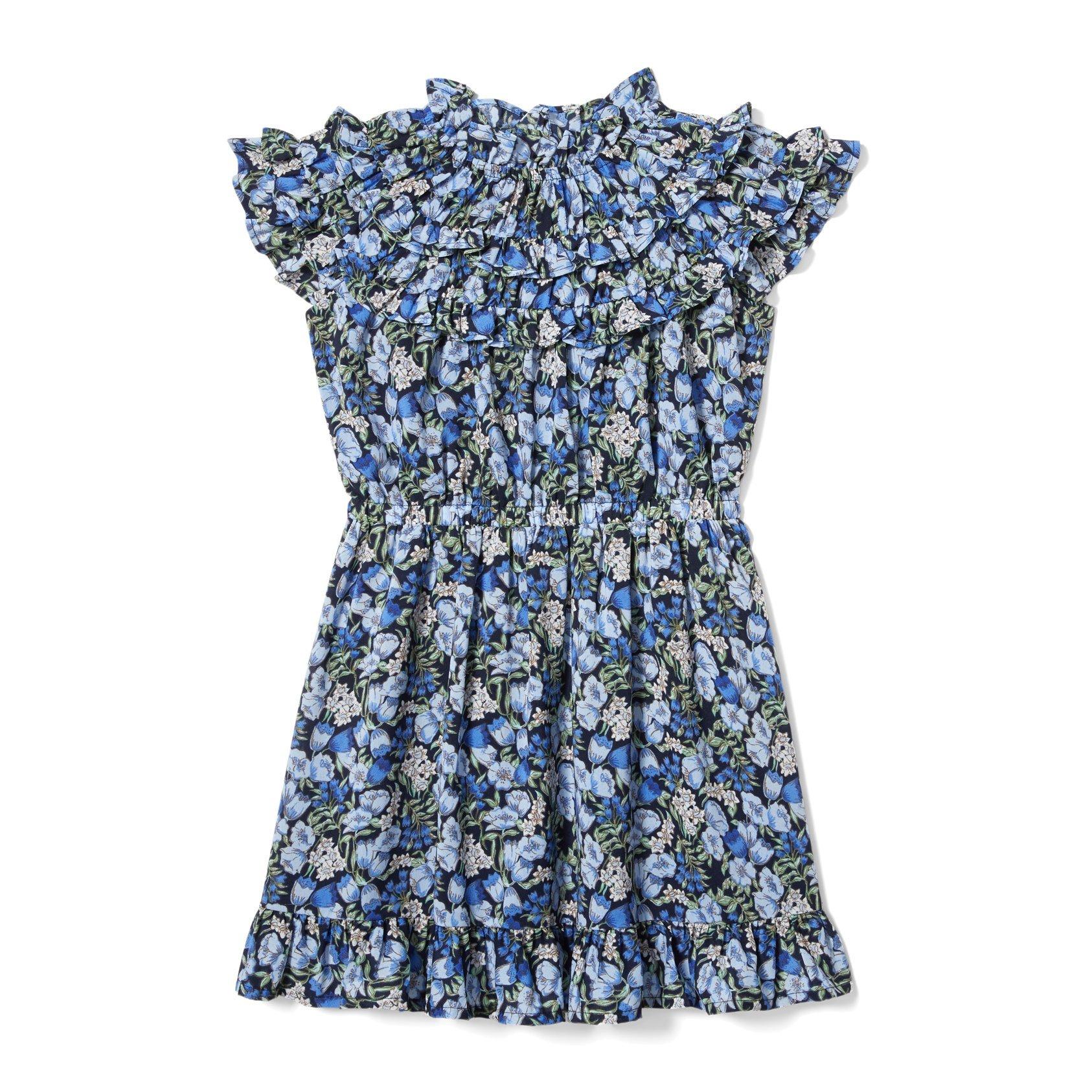 Floral Chiffon Dress