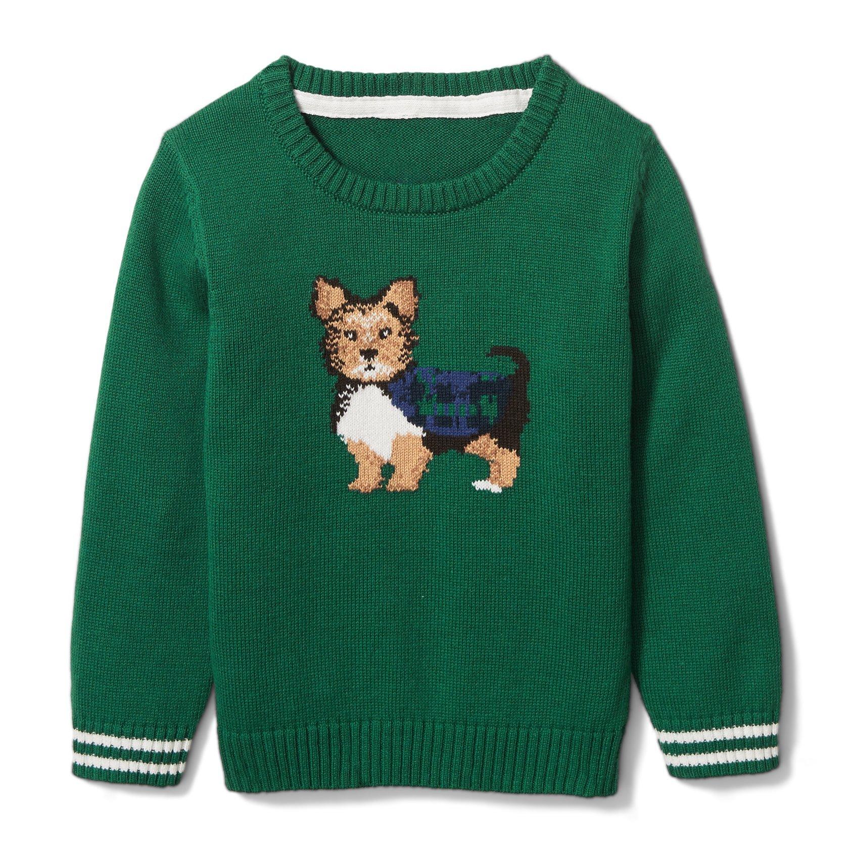 Dog Pullover