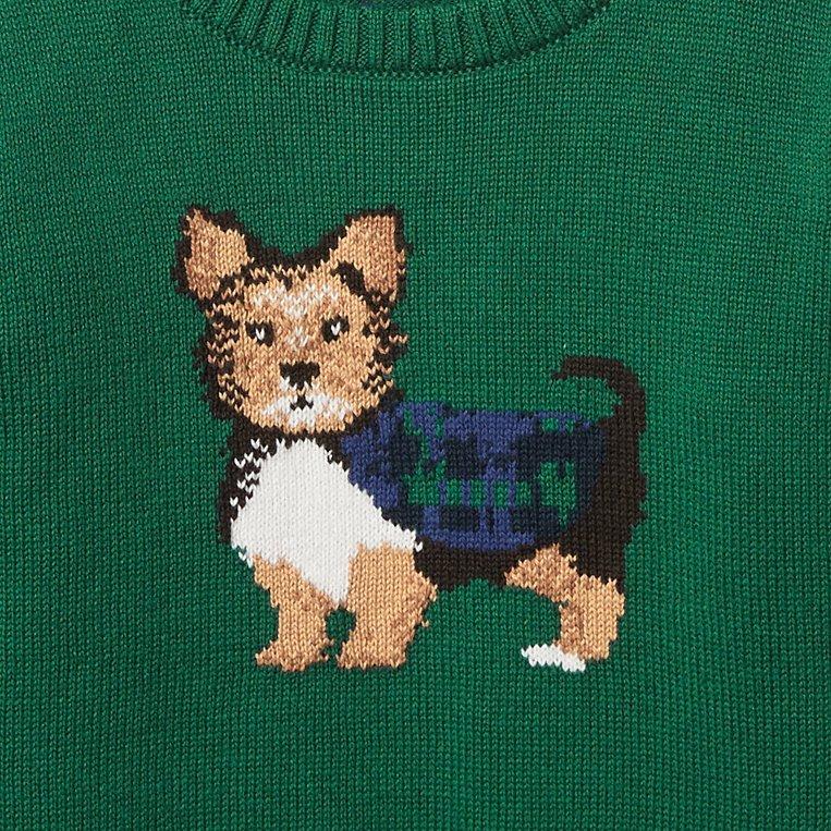 Dog Pullover image number 1