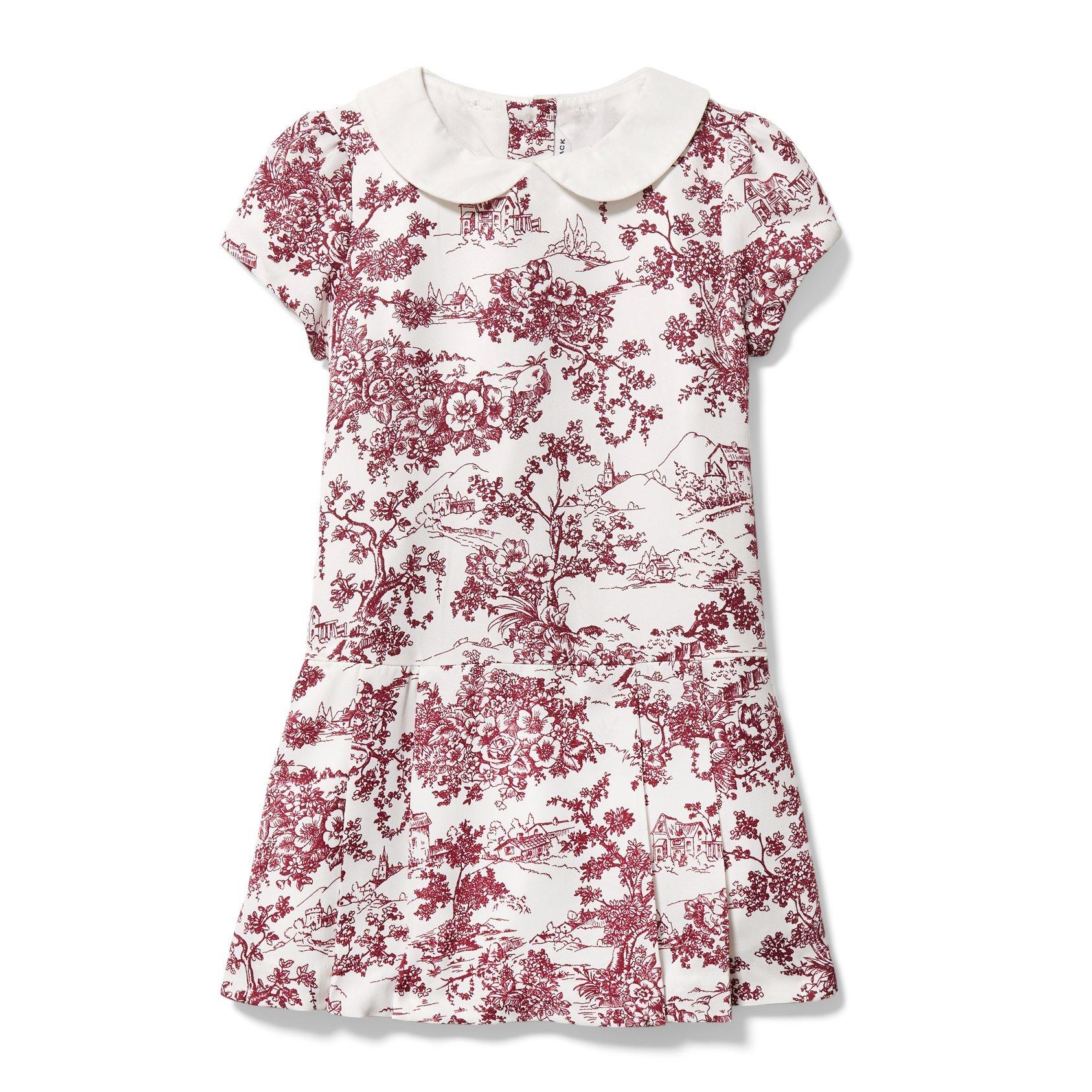Toile Dropwaist Dress image number 0