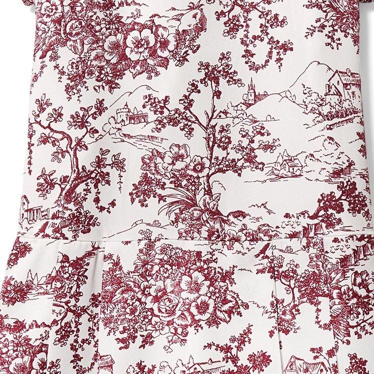 Toile Dropwaist Dress image number 1