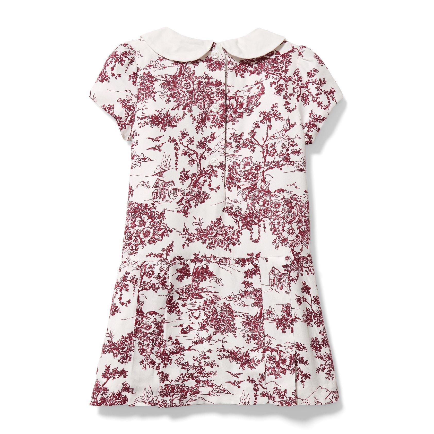 Toile Dropwaist Dress image number 2