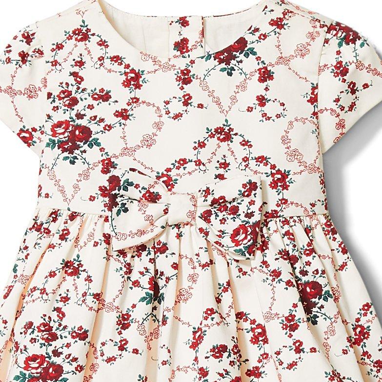 Baby Floral Dress image number 1