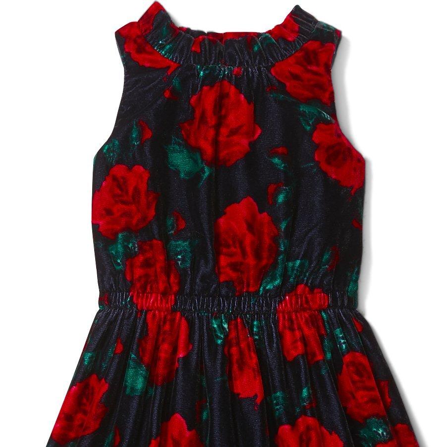 Rose Velvet Dress image number 1