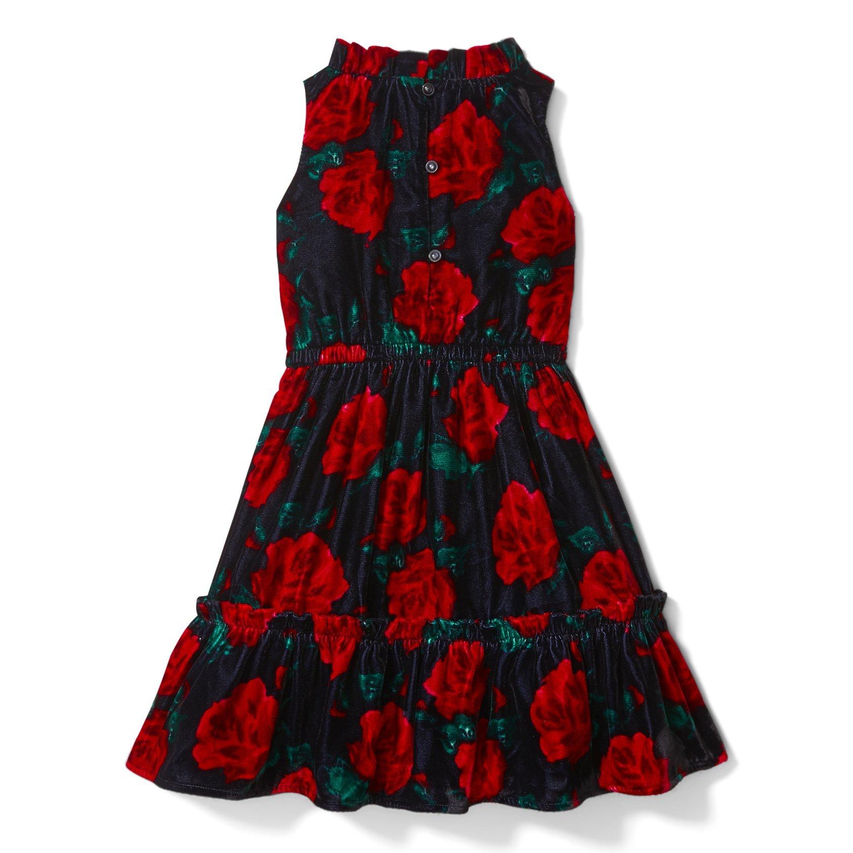 Rose Velvet Dress image number 2
