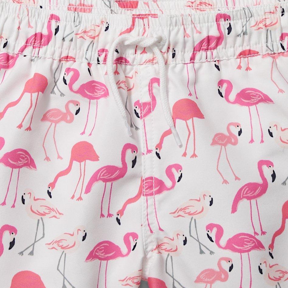 Flamingo Swim Trunk image number 1