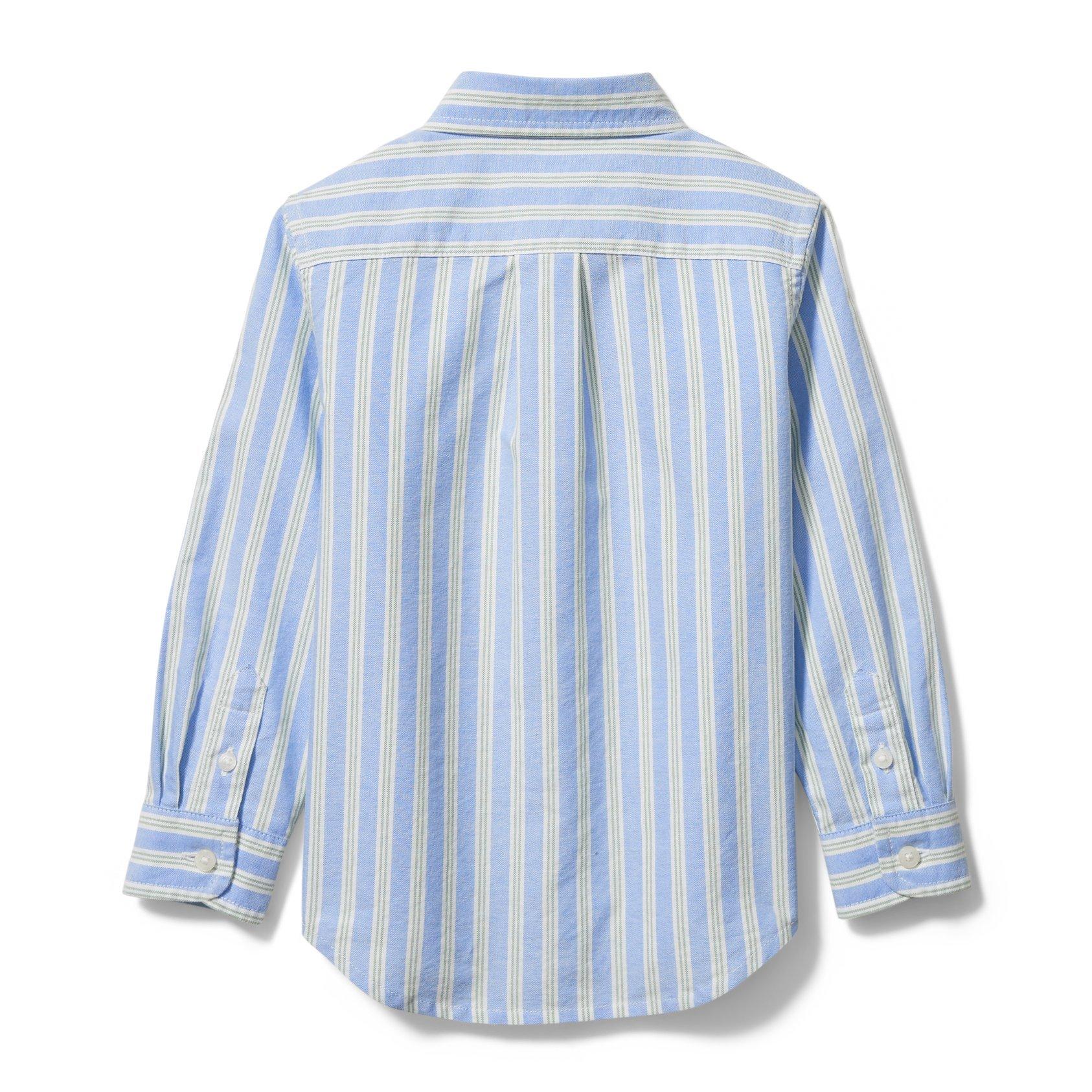 Striped Oxford Shirt image number 2