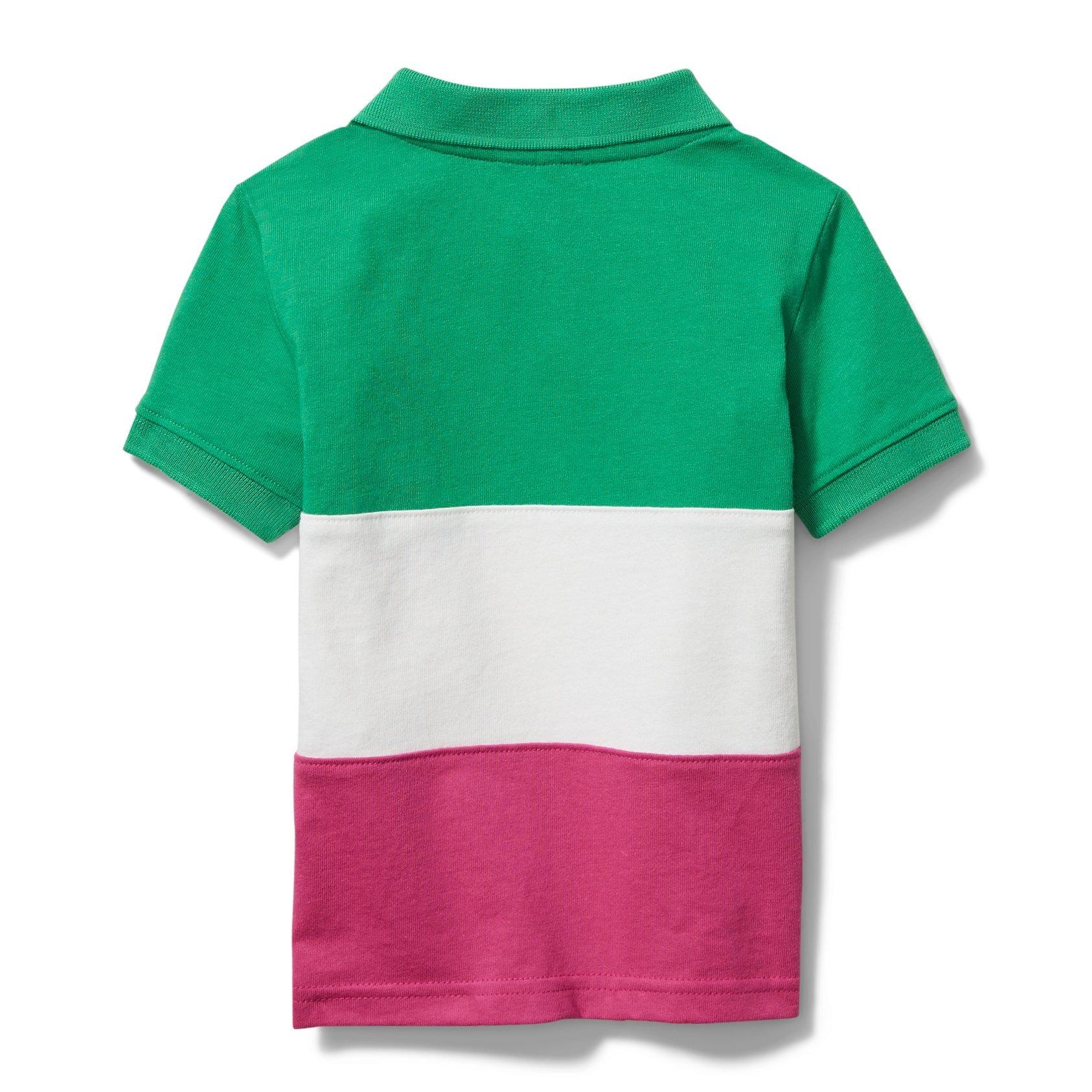 Colorblocked Polo image number 3