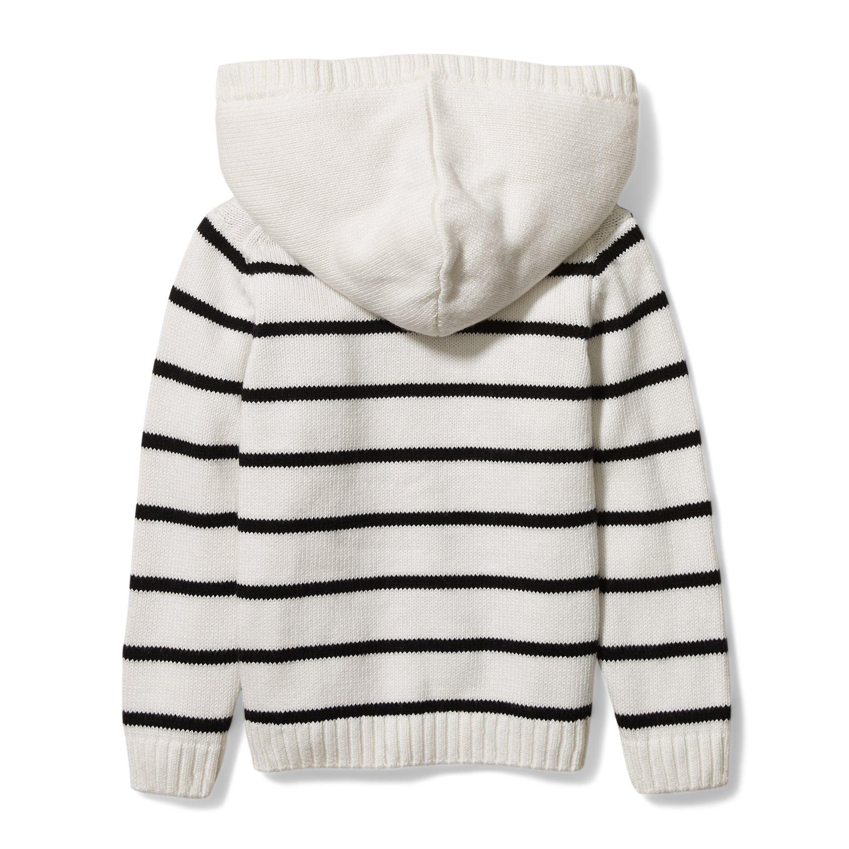 Striped Hooded Sweatshirt  image number 1