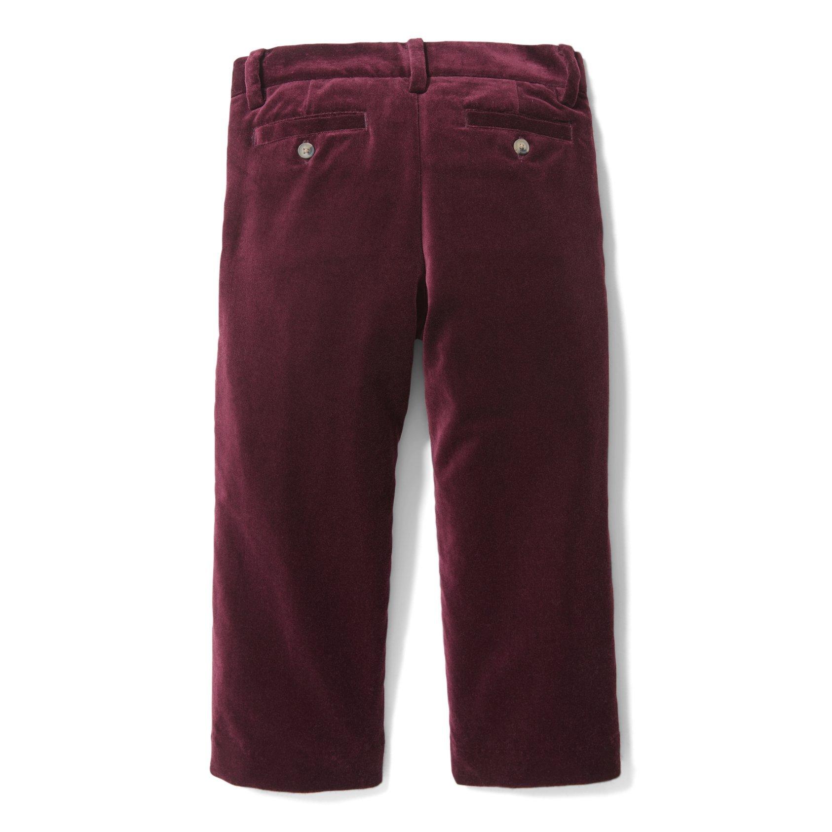 Velvet Pant image number 1