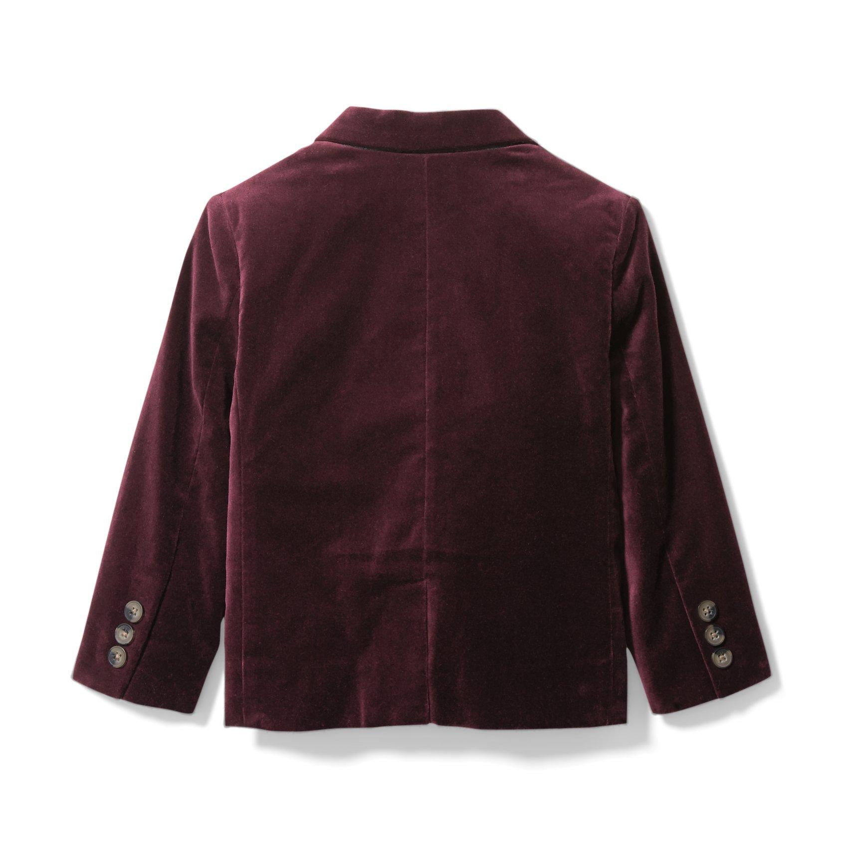 Velvet Blazer image number 1