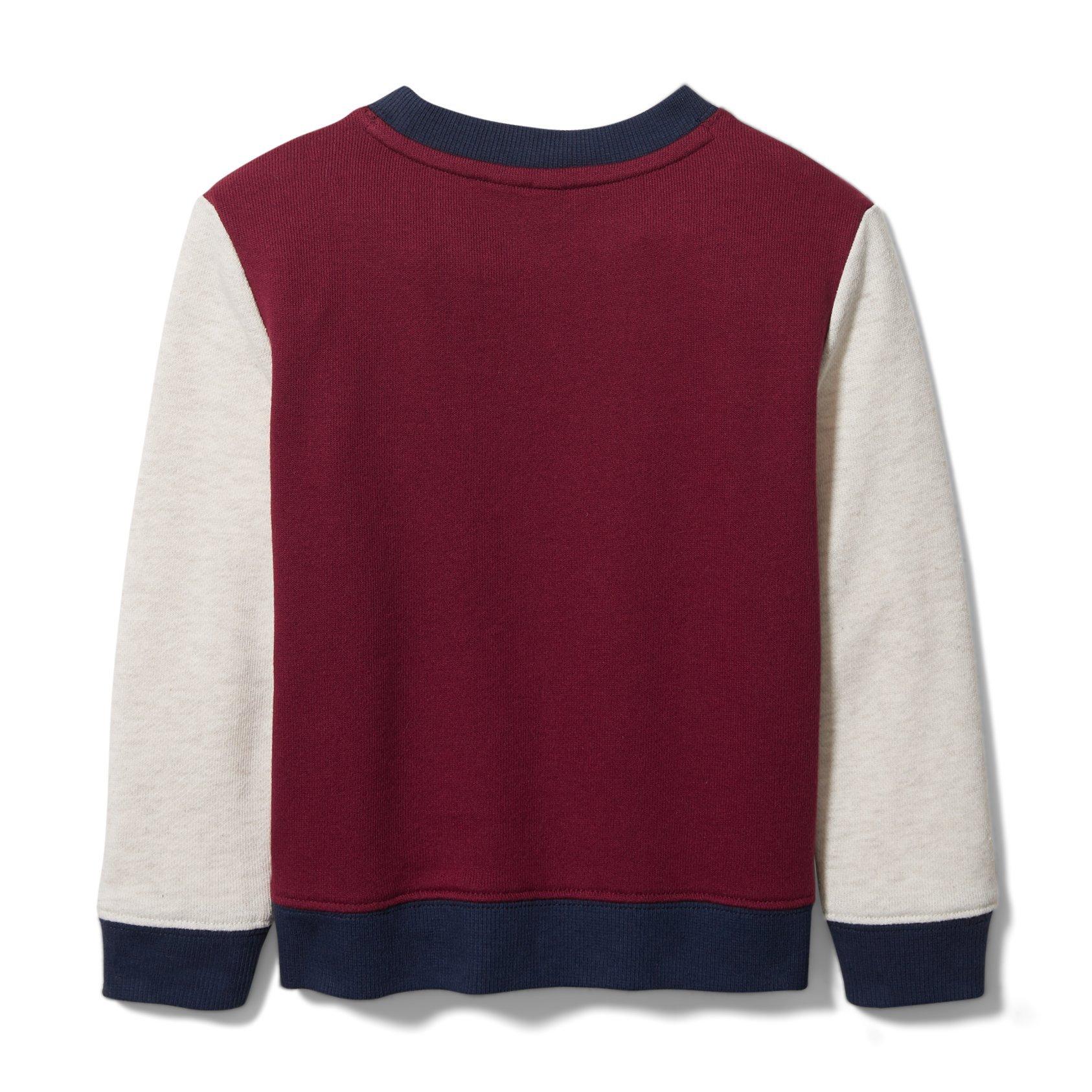 Colorblocked Crewneck Sweatshirt image number 2