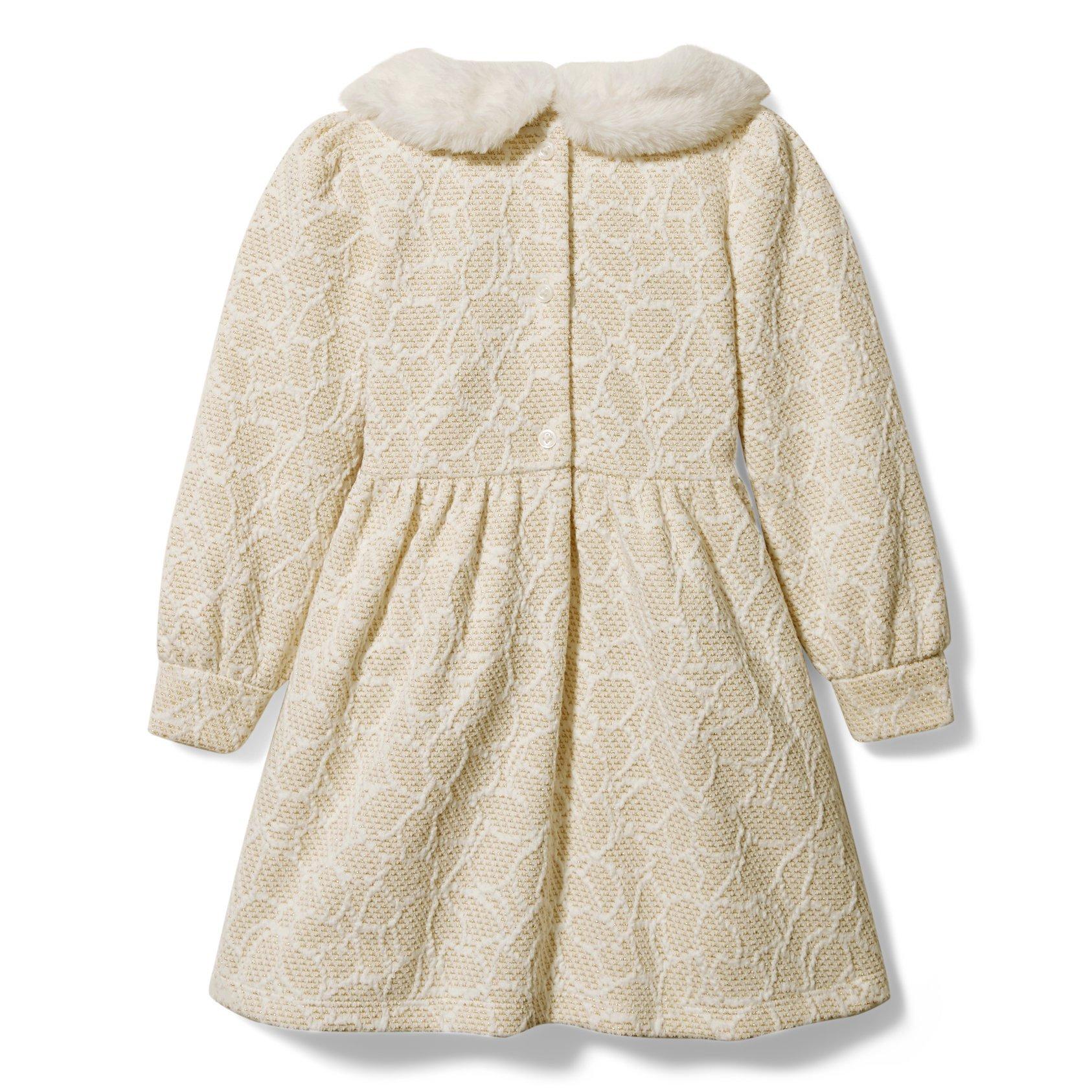Metallic Faux Fur Collar Dress image number 1