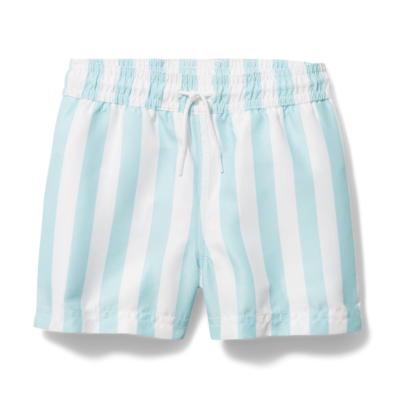 Striped Swim Trunk image number 0