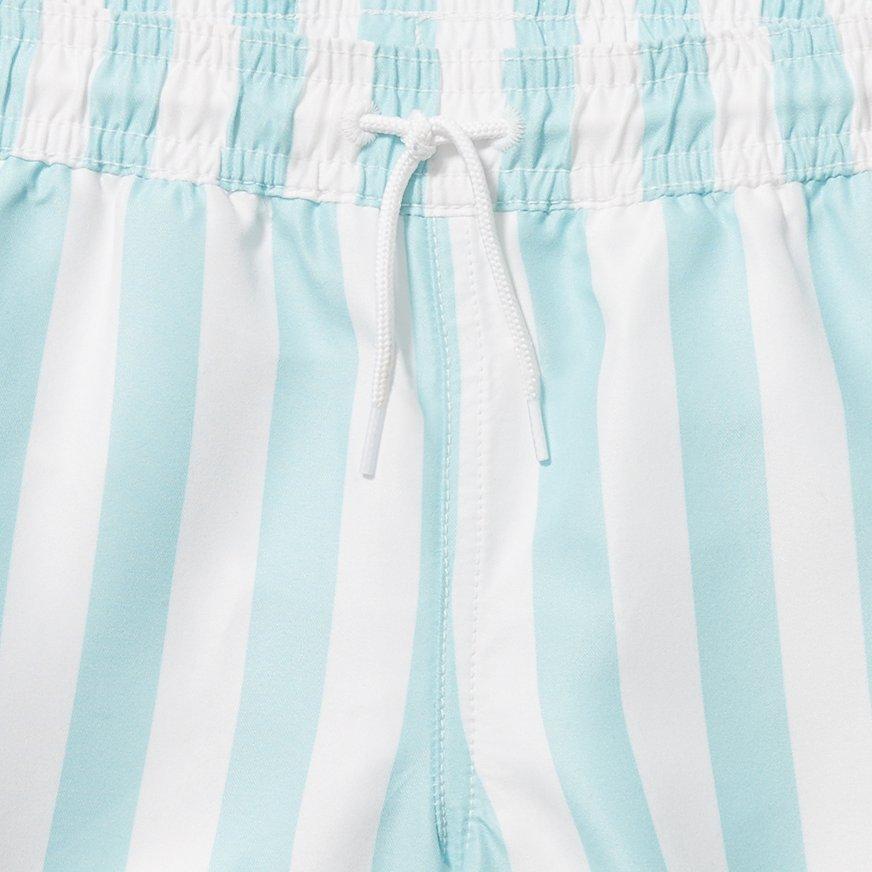 Striped Swim Trunk image number 1