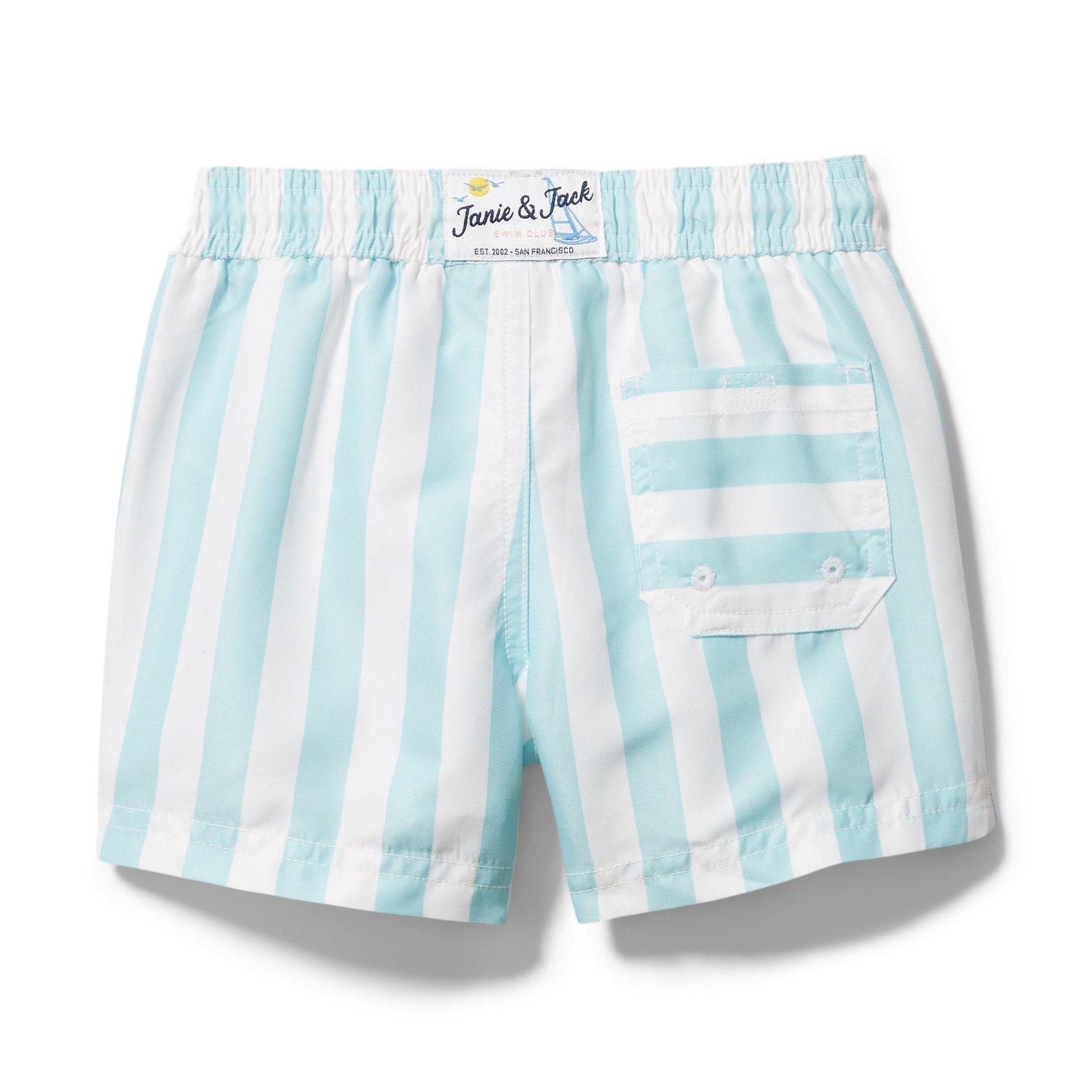 Striped Swim Trunk image number 2