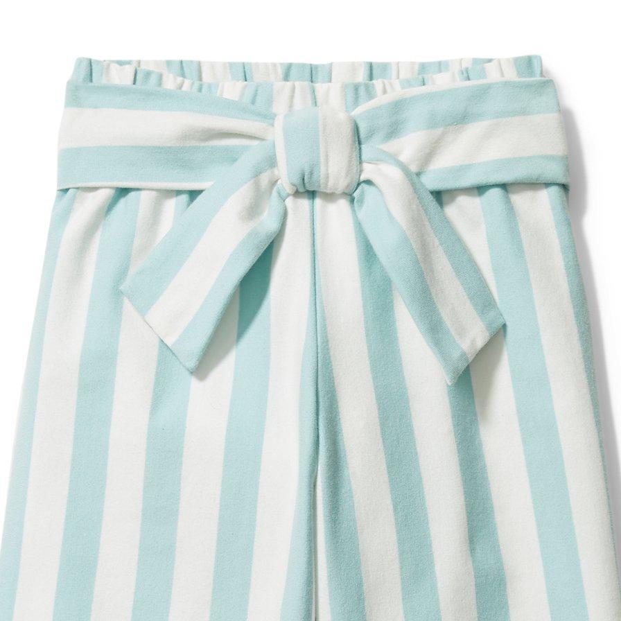 Striped Wide Leg Pant image number 1