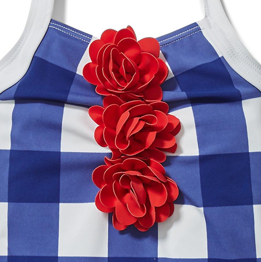 Embroidered Floral Gingham Swimsuit image number 1