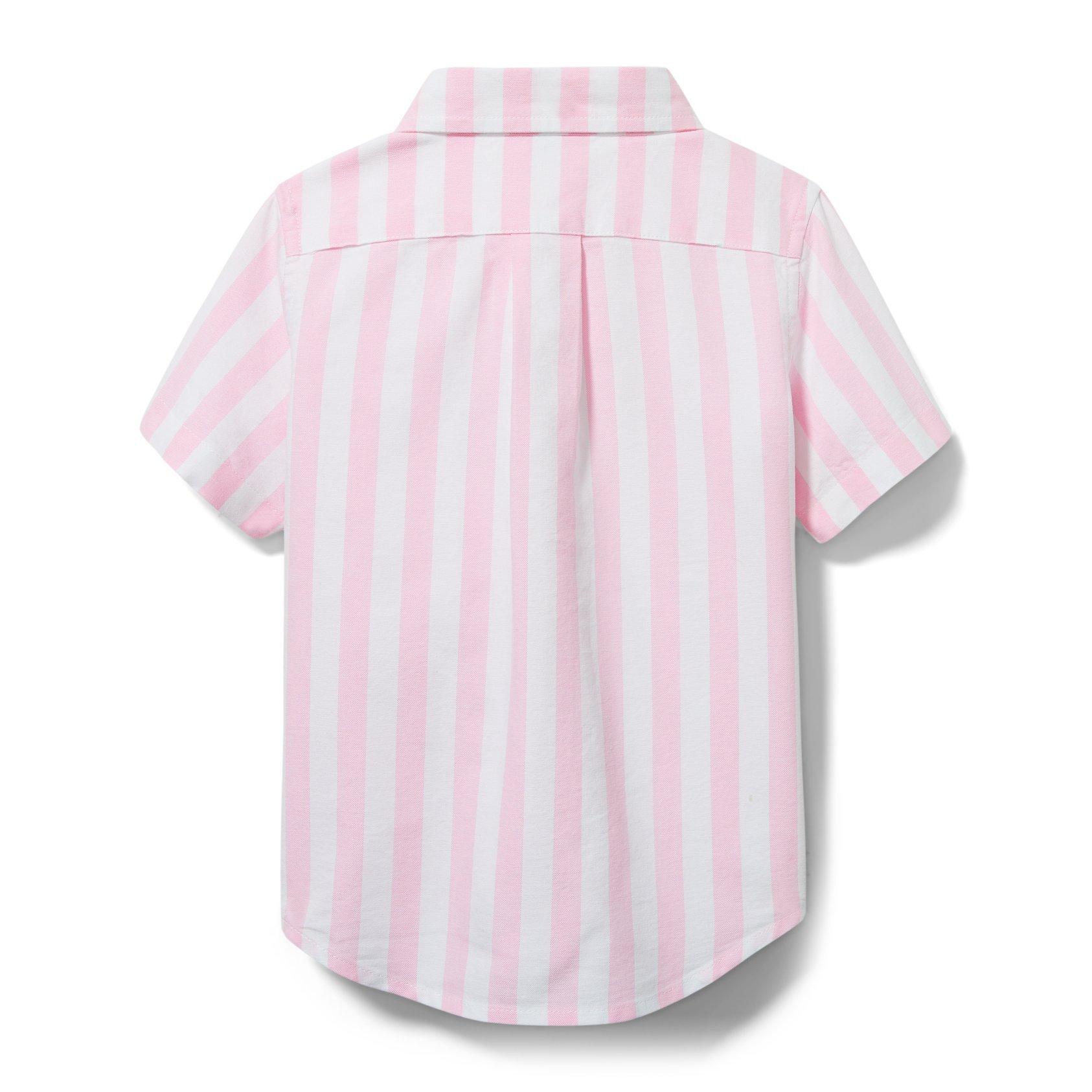 Striped Oxford Shirt image number 2