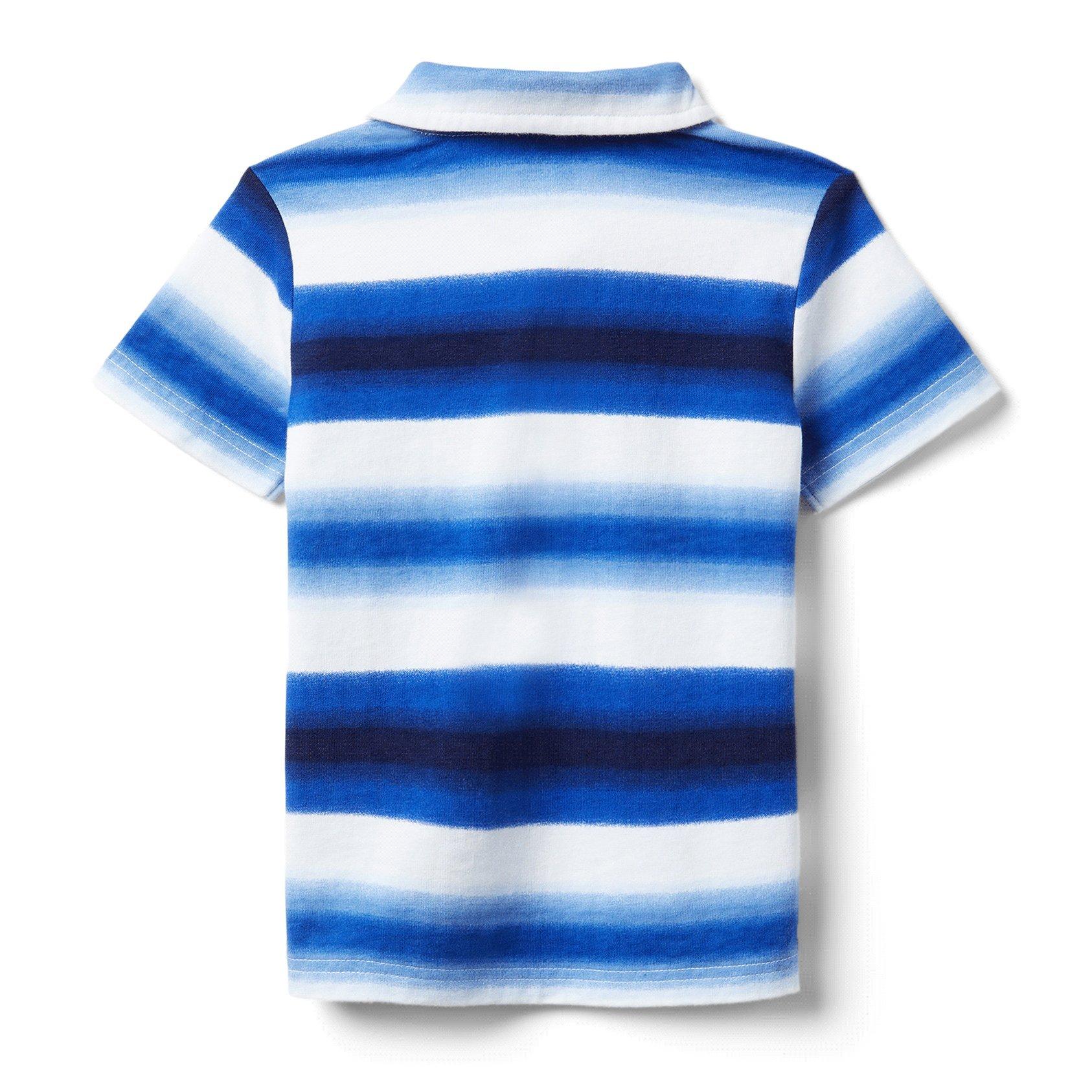 Ombre Striped Jersey Polo image number 1