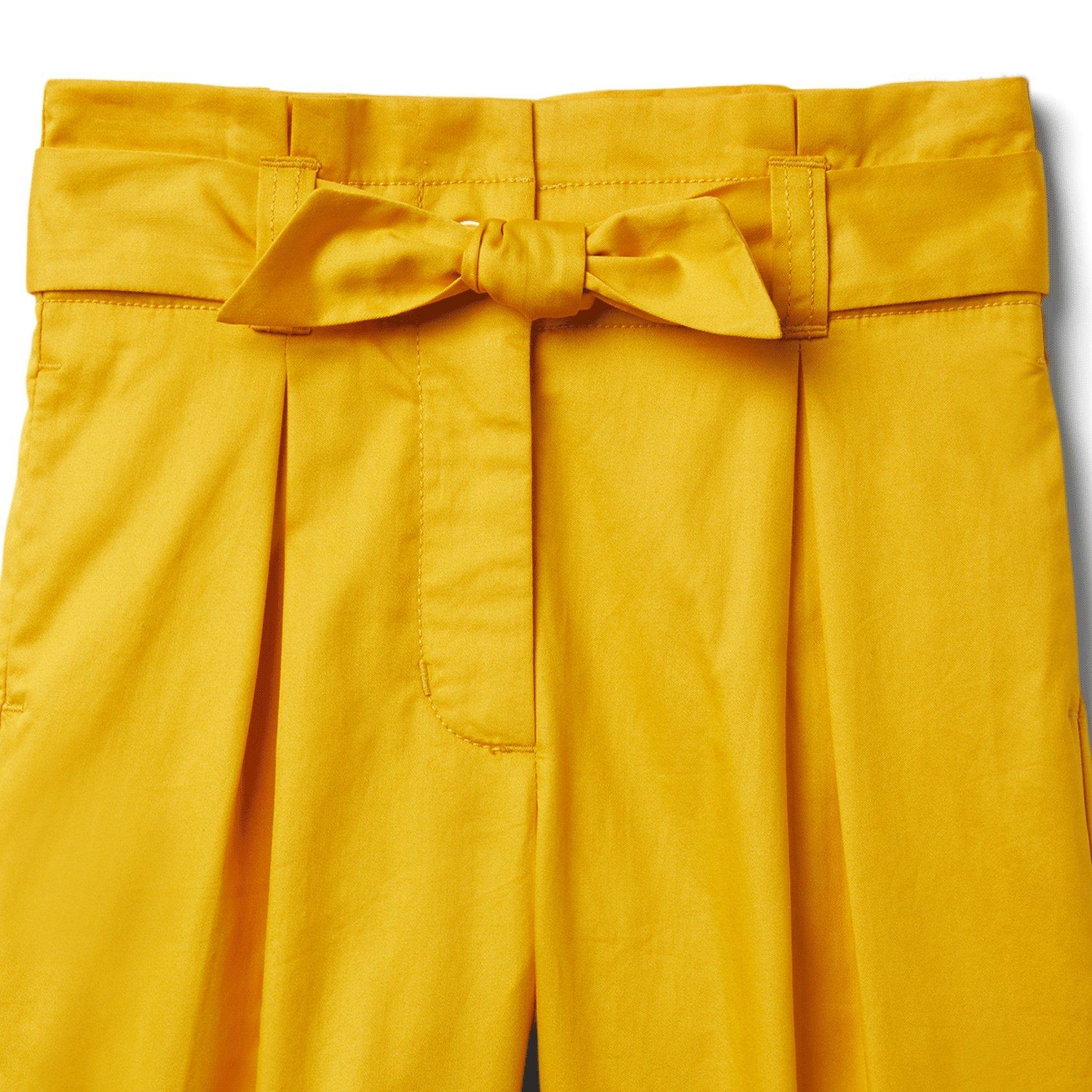 Tie Belt Wide Leg Pant image number 1