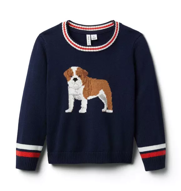 Bulldog Sweater 