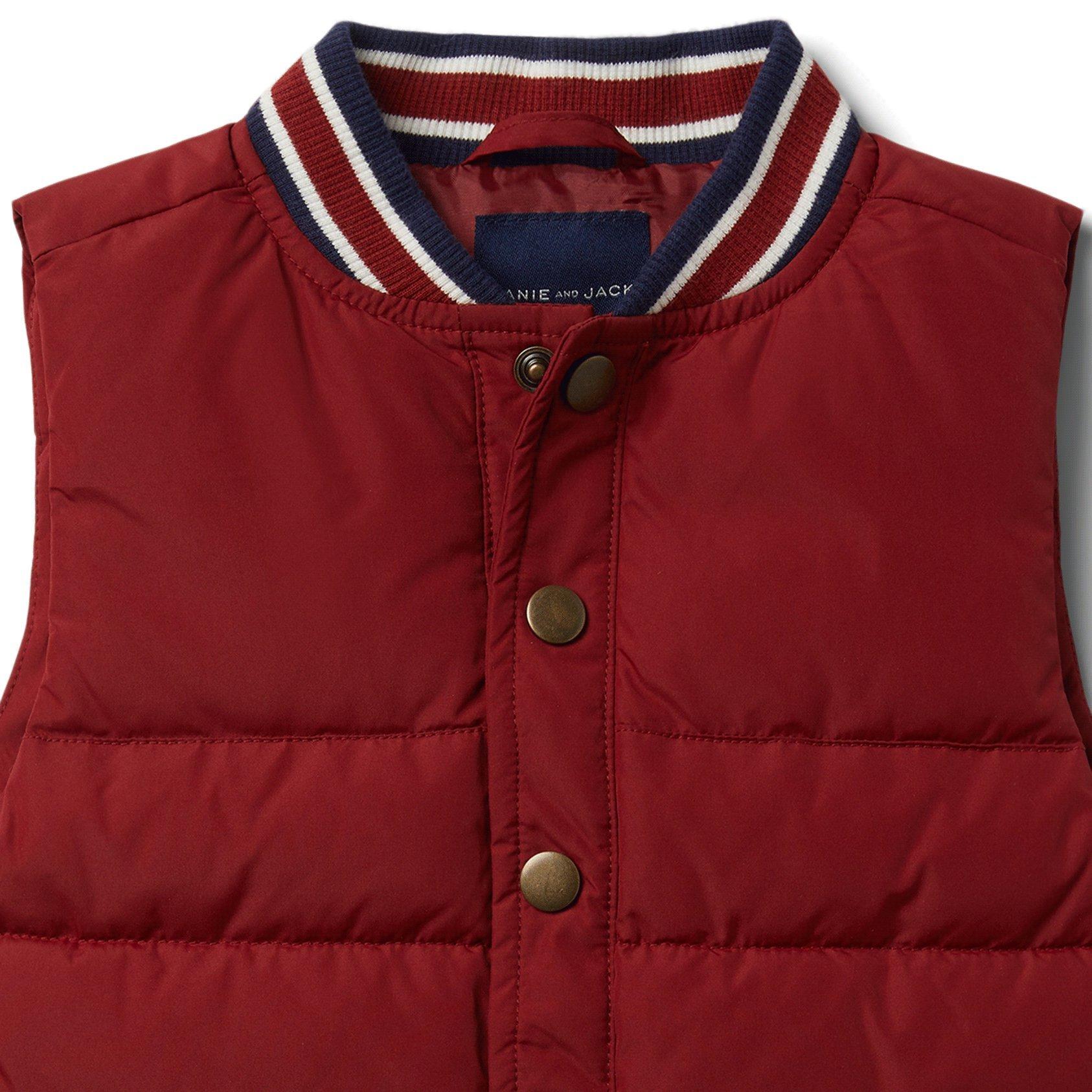Puffer Vest image number 2