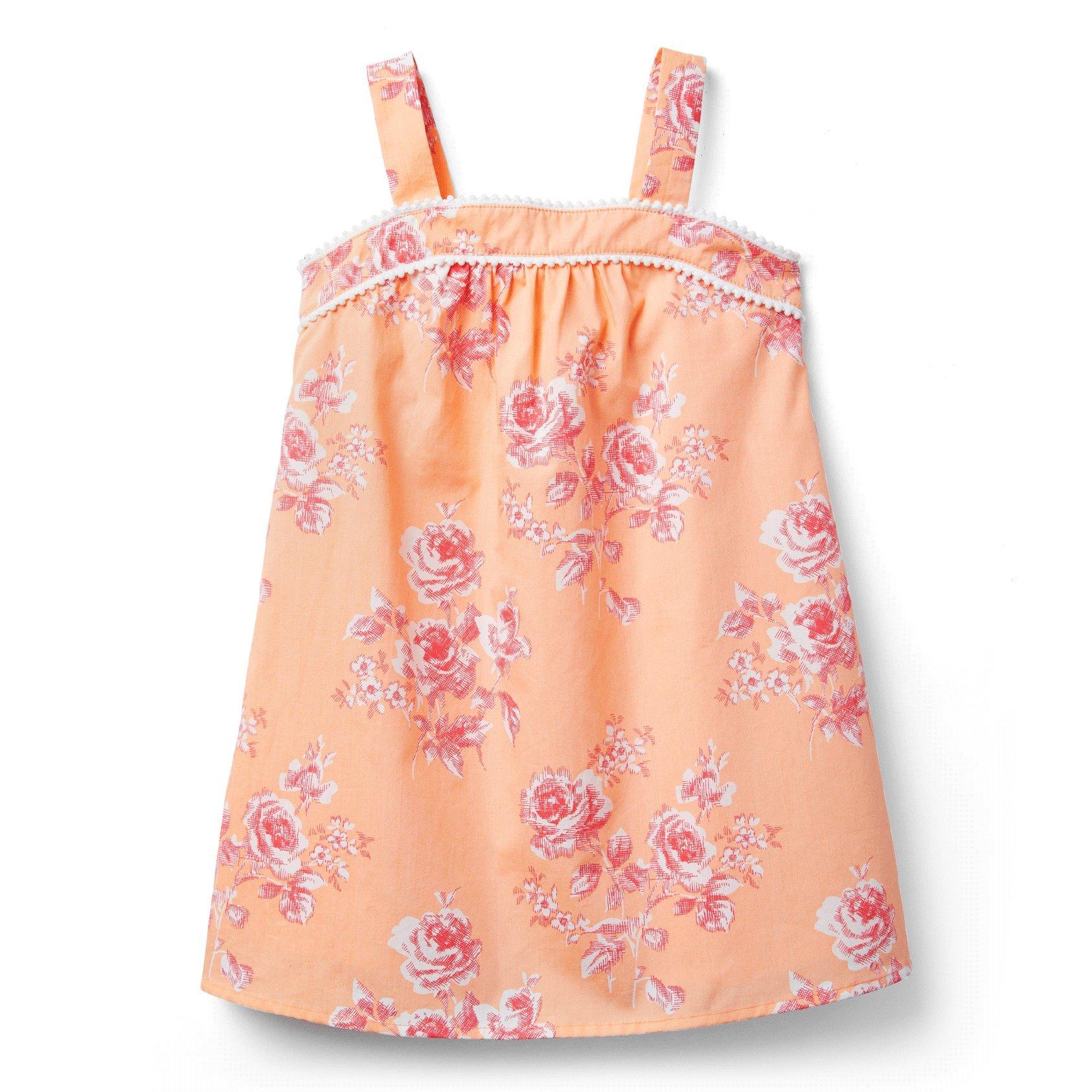 Rose Dress image number 0