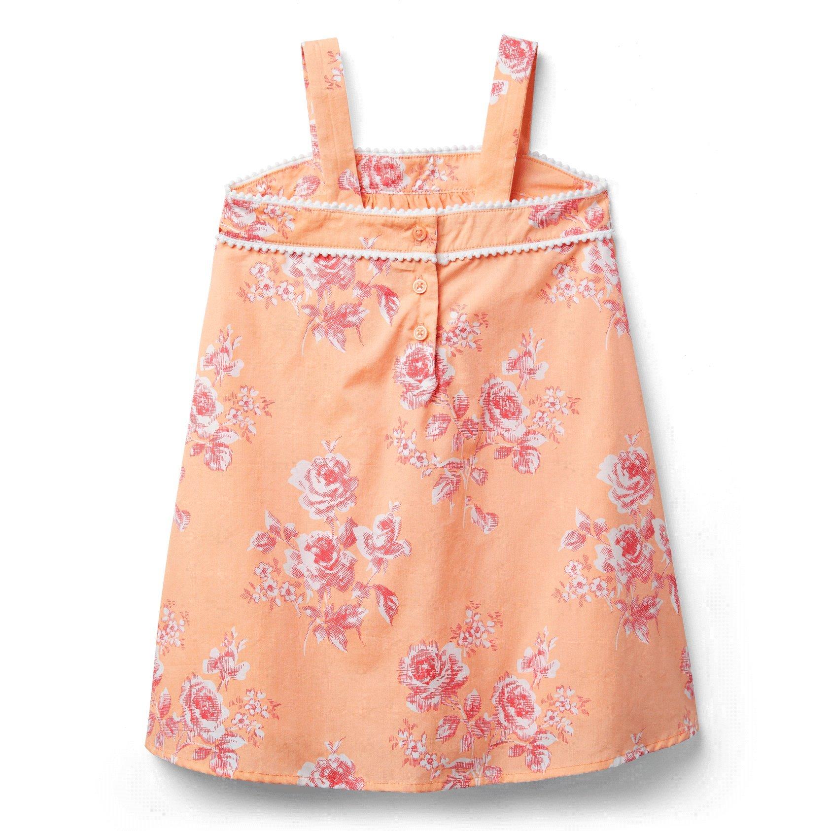 Rose Dress image number 2