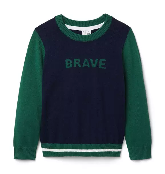 Brave Colorblocked Sweater