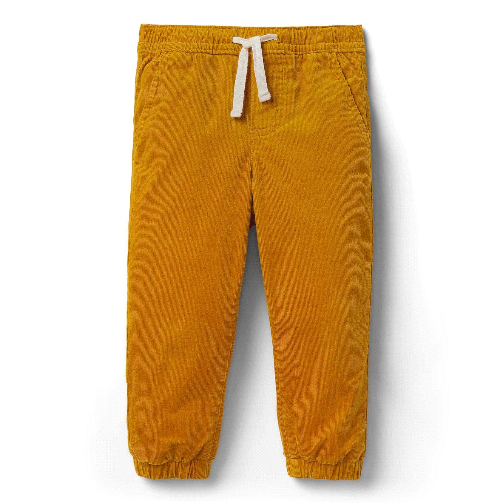 Corduroy Jogger  image number 0