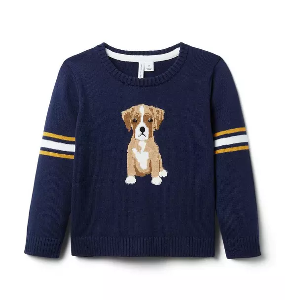 Dog Varsity Sweater