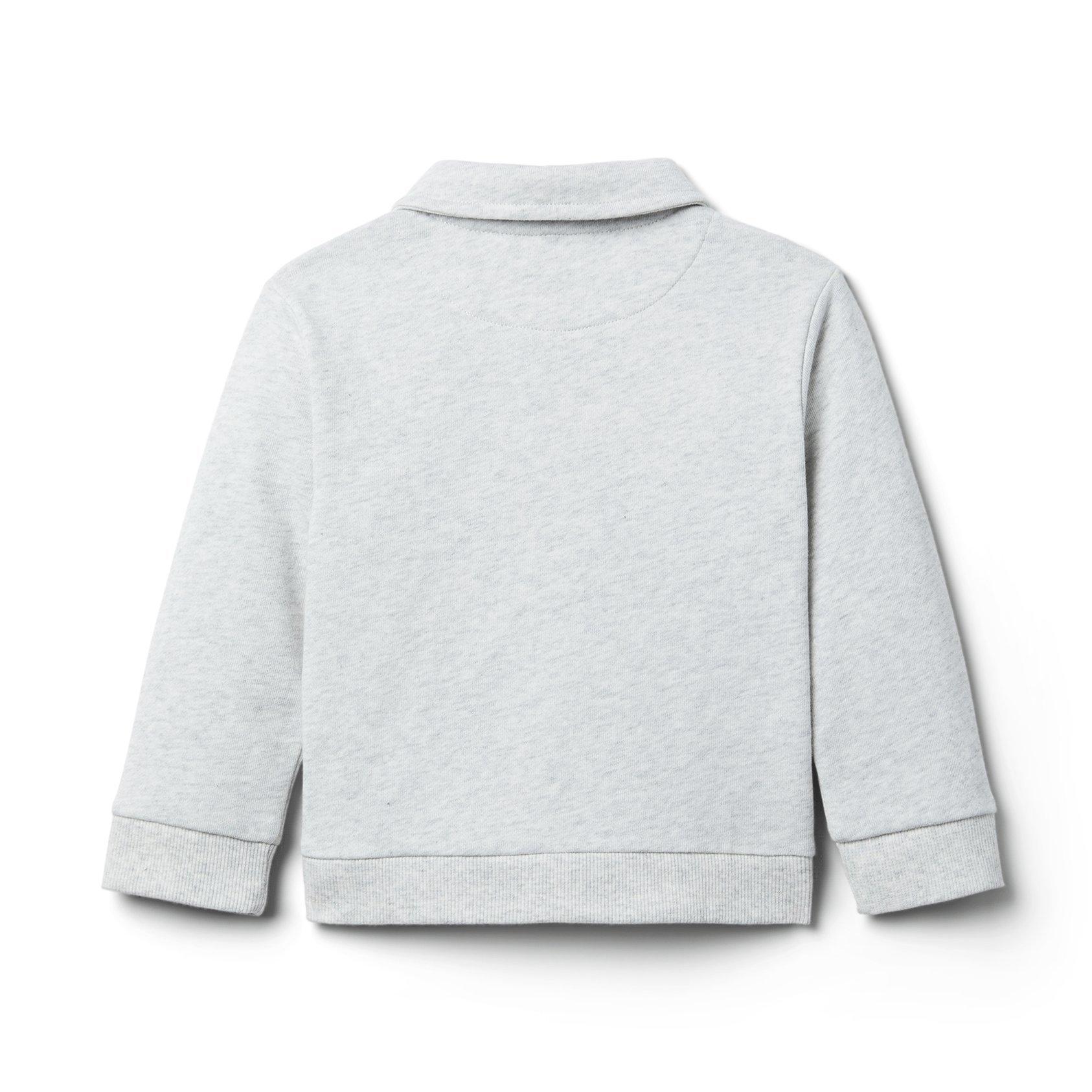 Polo Half-Zip Sweatshirt image number 1