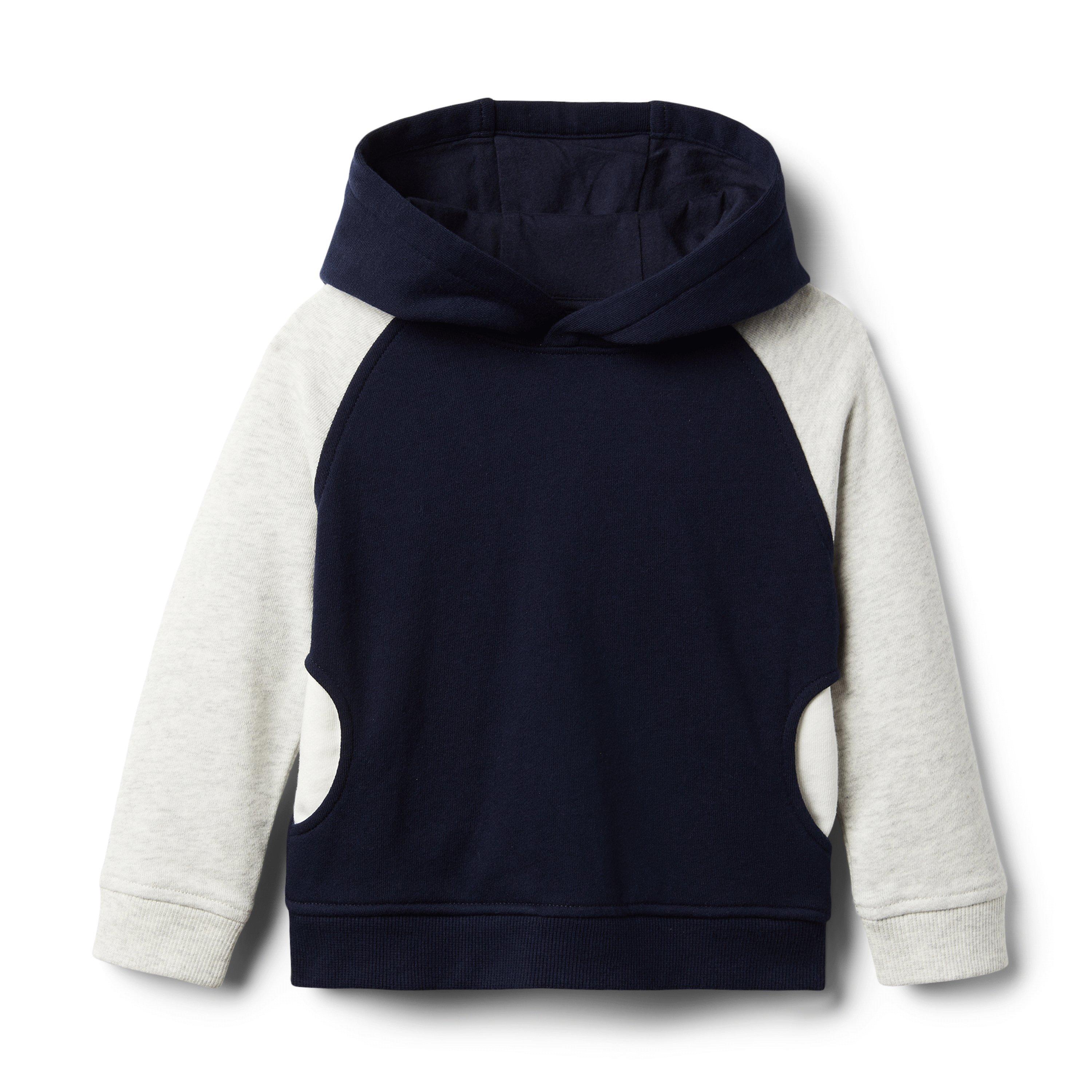 Colorblocked Hooded Sweatshirt  image number 0