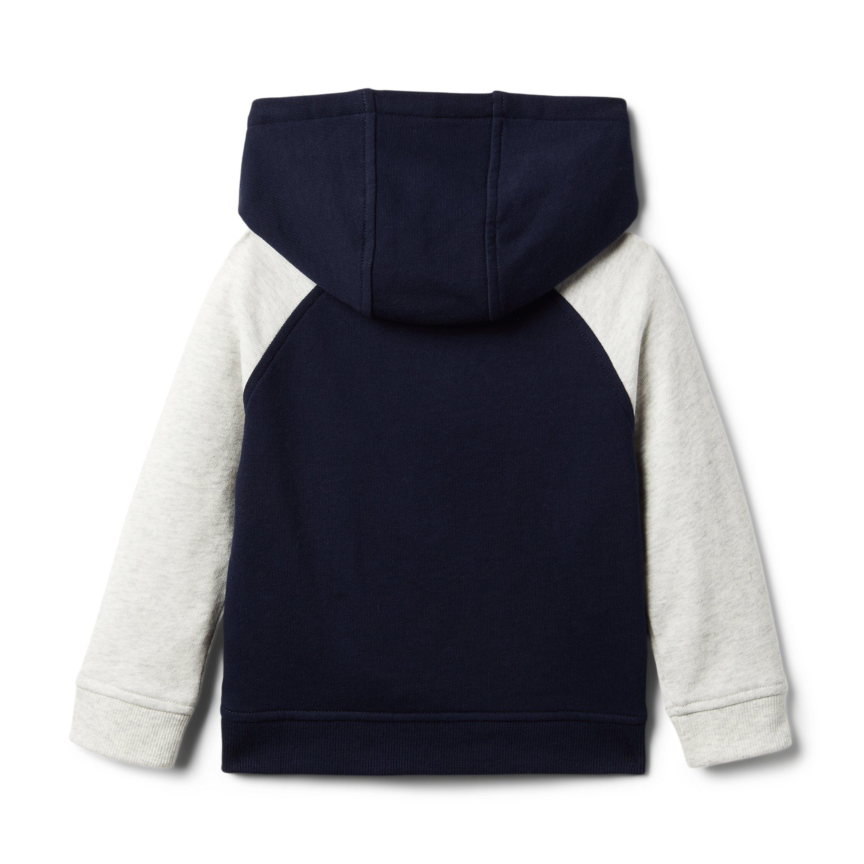 Colorblocked Hooded Sweatshirt  image number 2